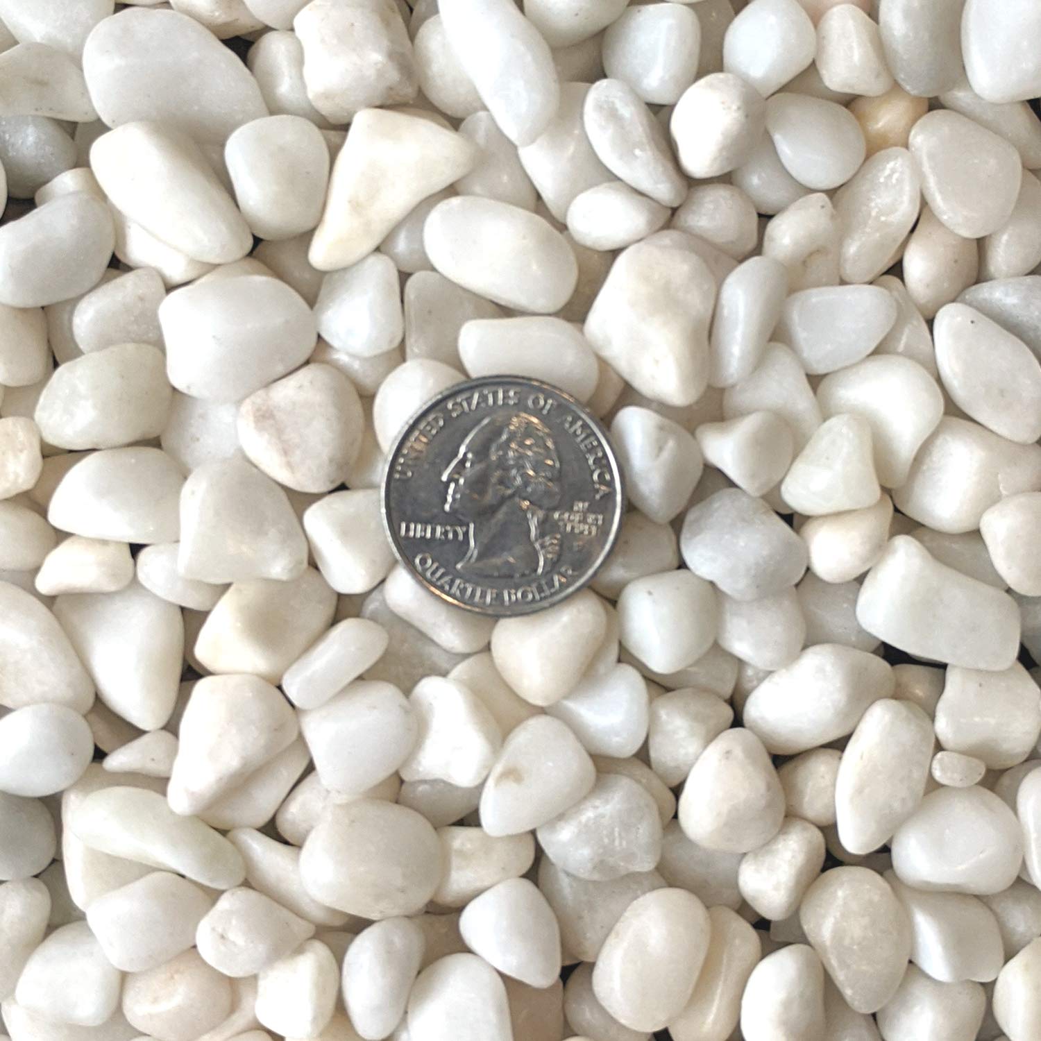Midwest Hearth Natural Decorative Polished White Pebbles 3/8'' Gravel Size (5-Lb Bag)