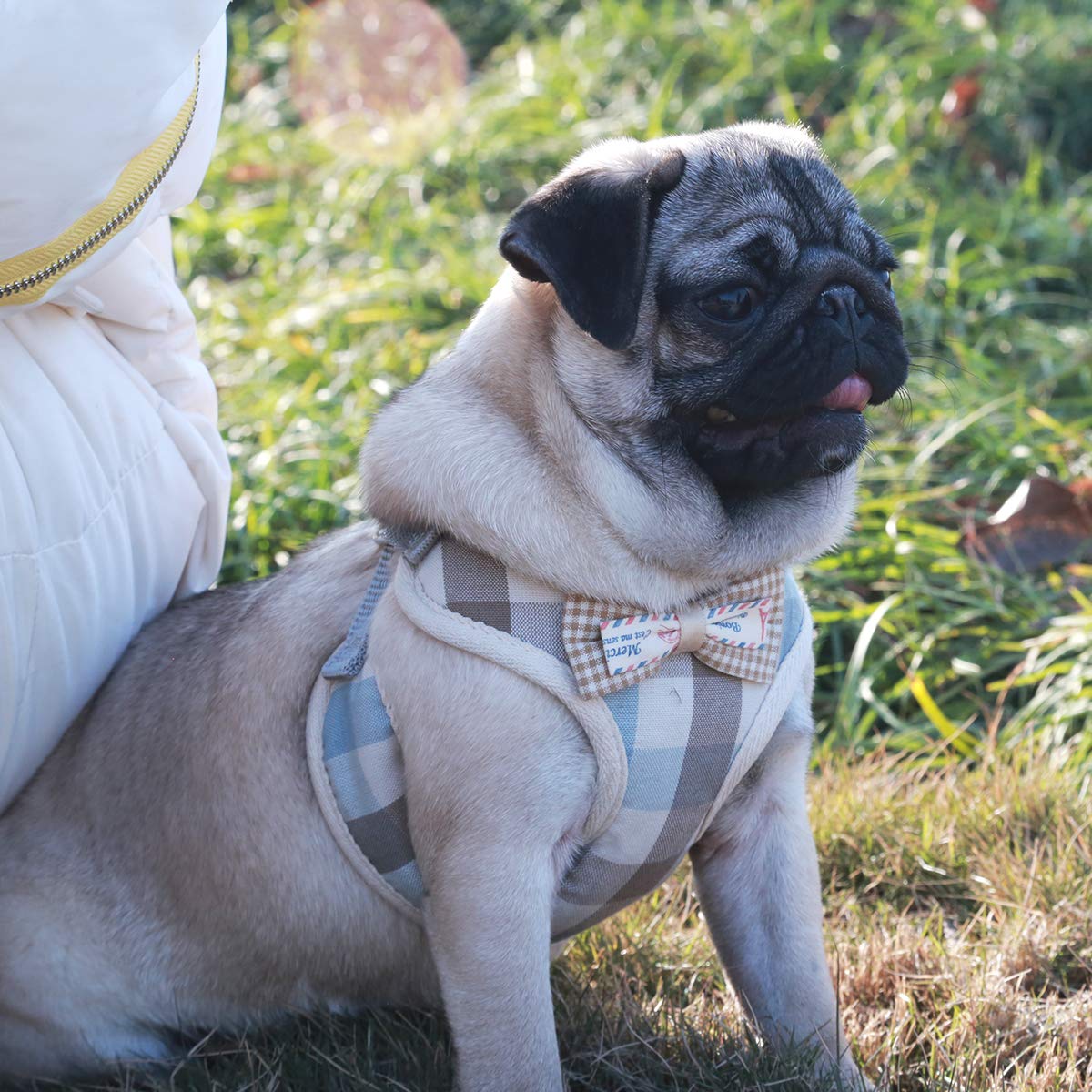 Voopet Puppy Harness Easy To Put On & Take Off Step In Dog Harness, Puppy Soft Padded Mesh Front Vest With Leash, Adjustable Pet