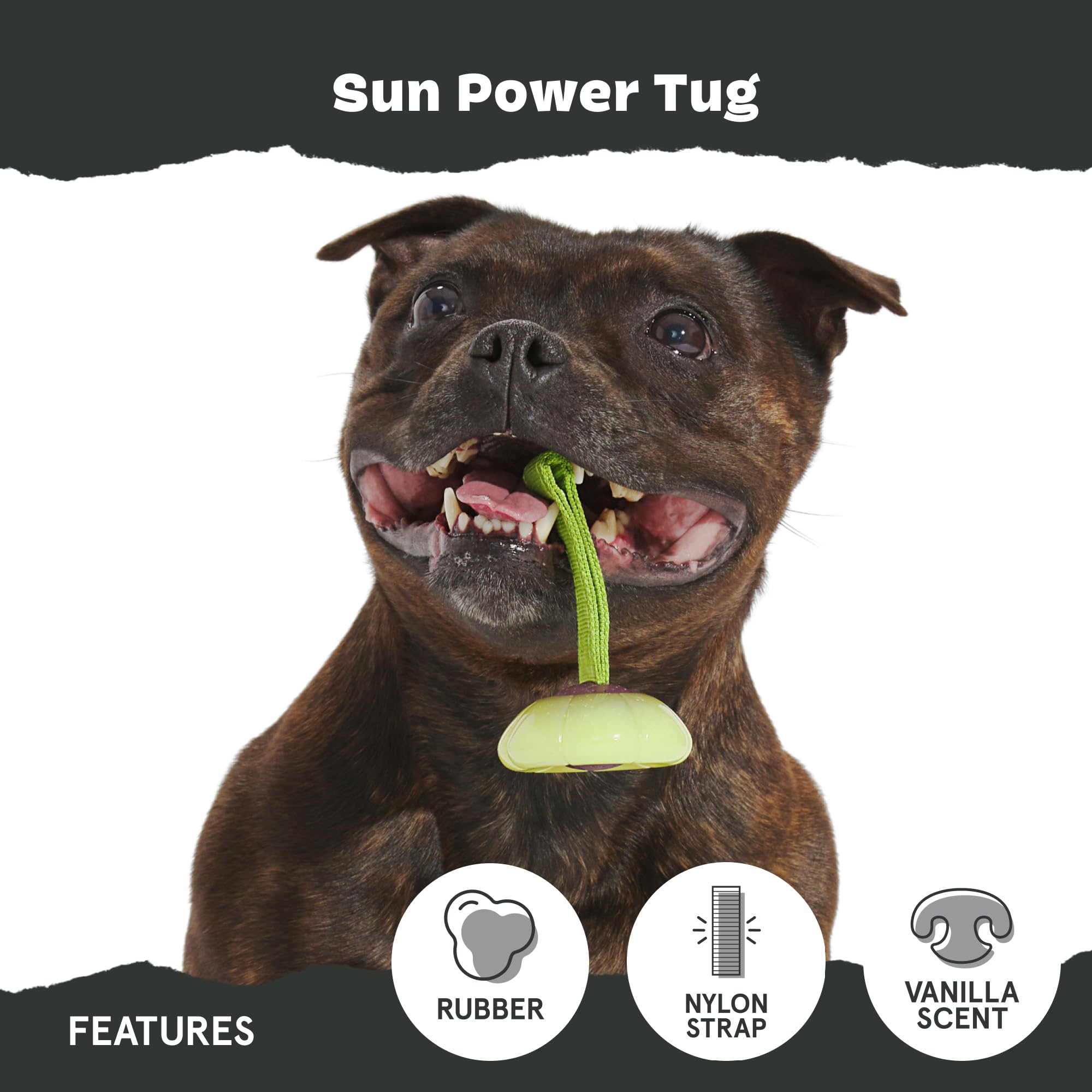 Barkbox Bark Sun Power Tug Rope Toy For Dogs & Puppies - Medium