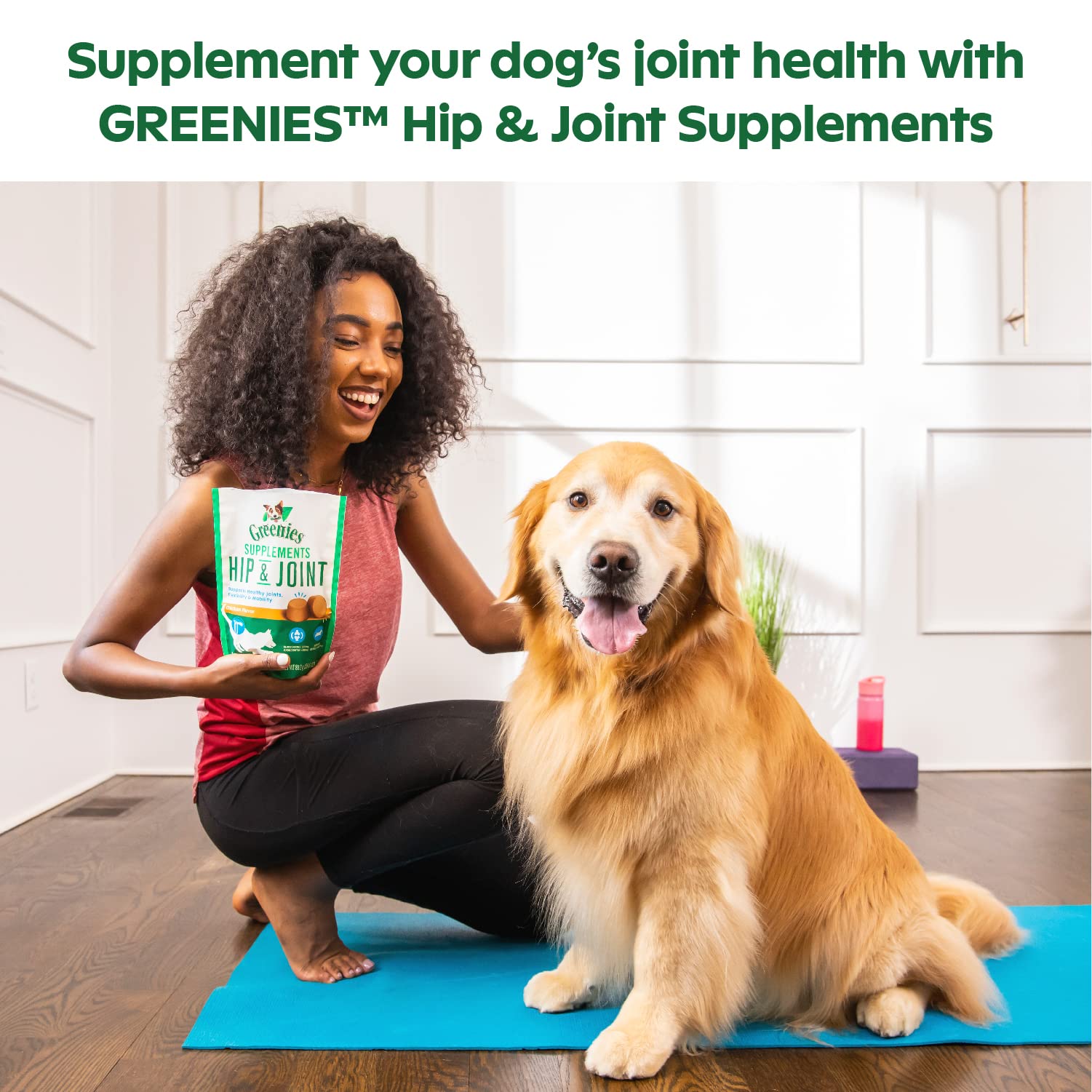 Greenies Hip and Joint Supplements for Dogs