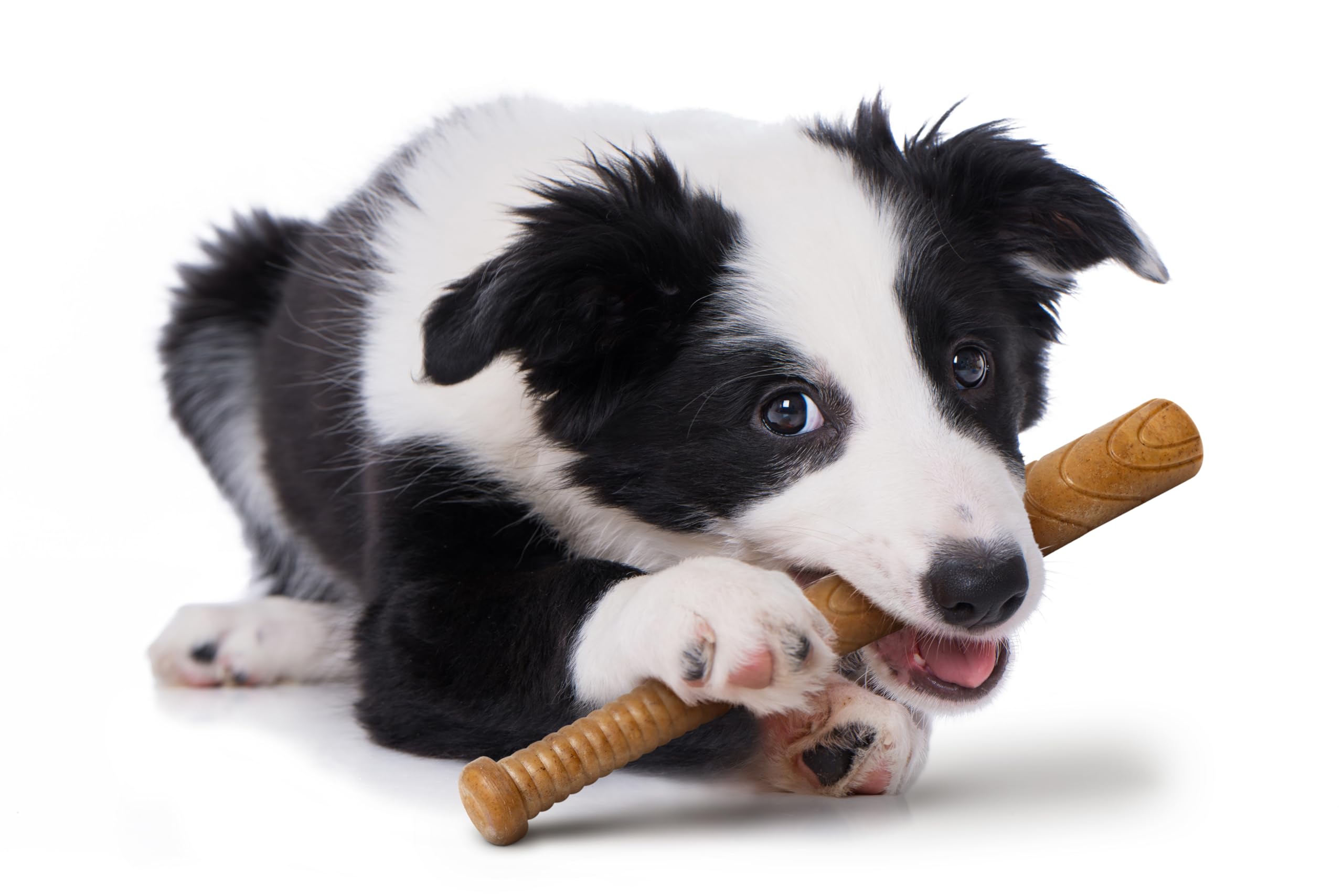 The CHEW Club POWERBONE Baseball Bat Dog Toy | Durable Nylon Chew Toy for Aggressive Chewers | Long-Lasting Teething Relief | Ke