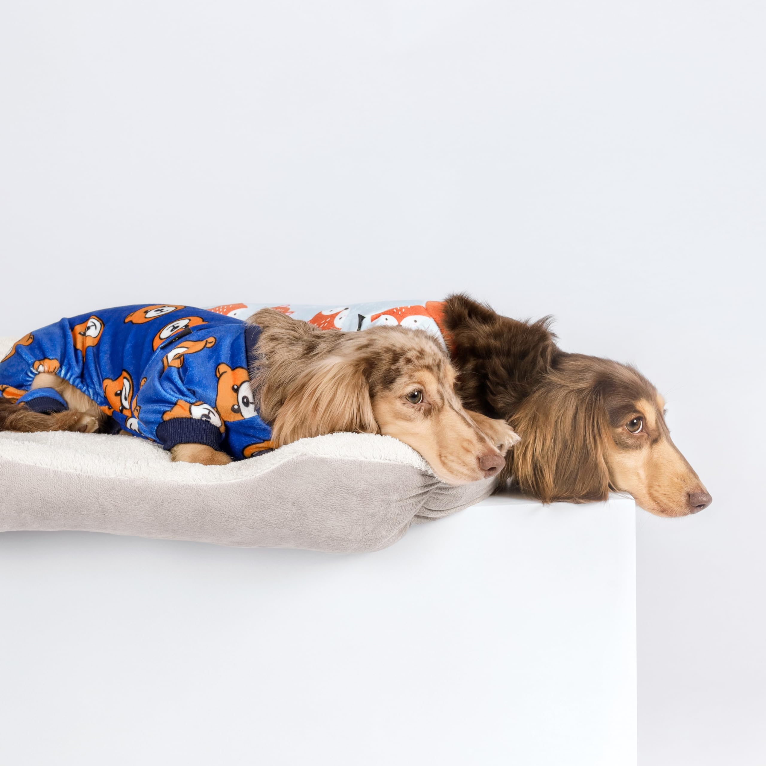Fitwarm Cute Bear Dog Pajamas, Dog Clothes For Small Dogs Boy Girl, Fleece Pet Onesie With Feet, Royal Blue, Brown, Xs