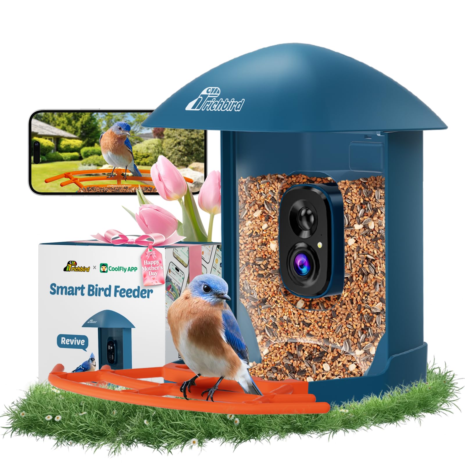 Smart Bird Feeder with Camera, Birdwatching Camera with Lifetime Free AI Identify Bird Species & Solar Panel, Auto Video Capture