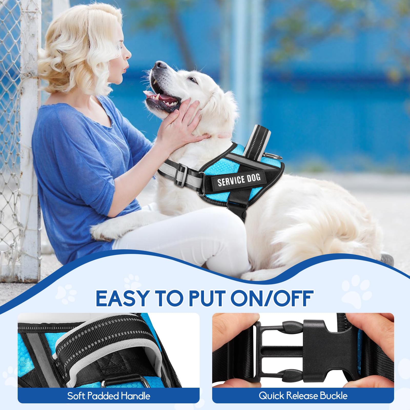Animire Service Dog Harness (Medium, Light Blue) With Reflective Strips, Leash, And 10 Patches, For Dog Training And Walking