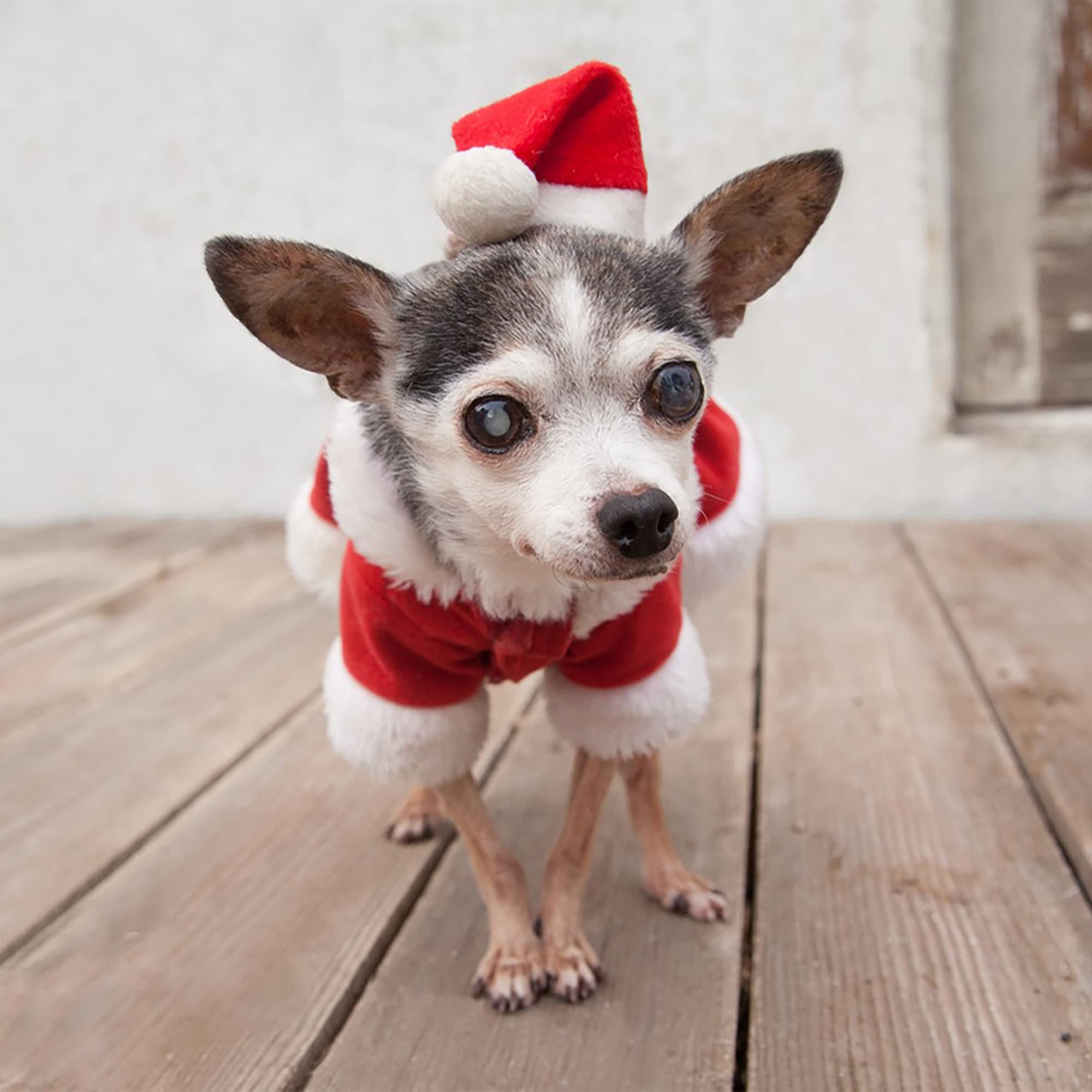 Pet Christmas Costumes Santa Dog Clothes For Small Dogs Boys Fall Winter Coats Puppy Kitty Hoodies