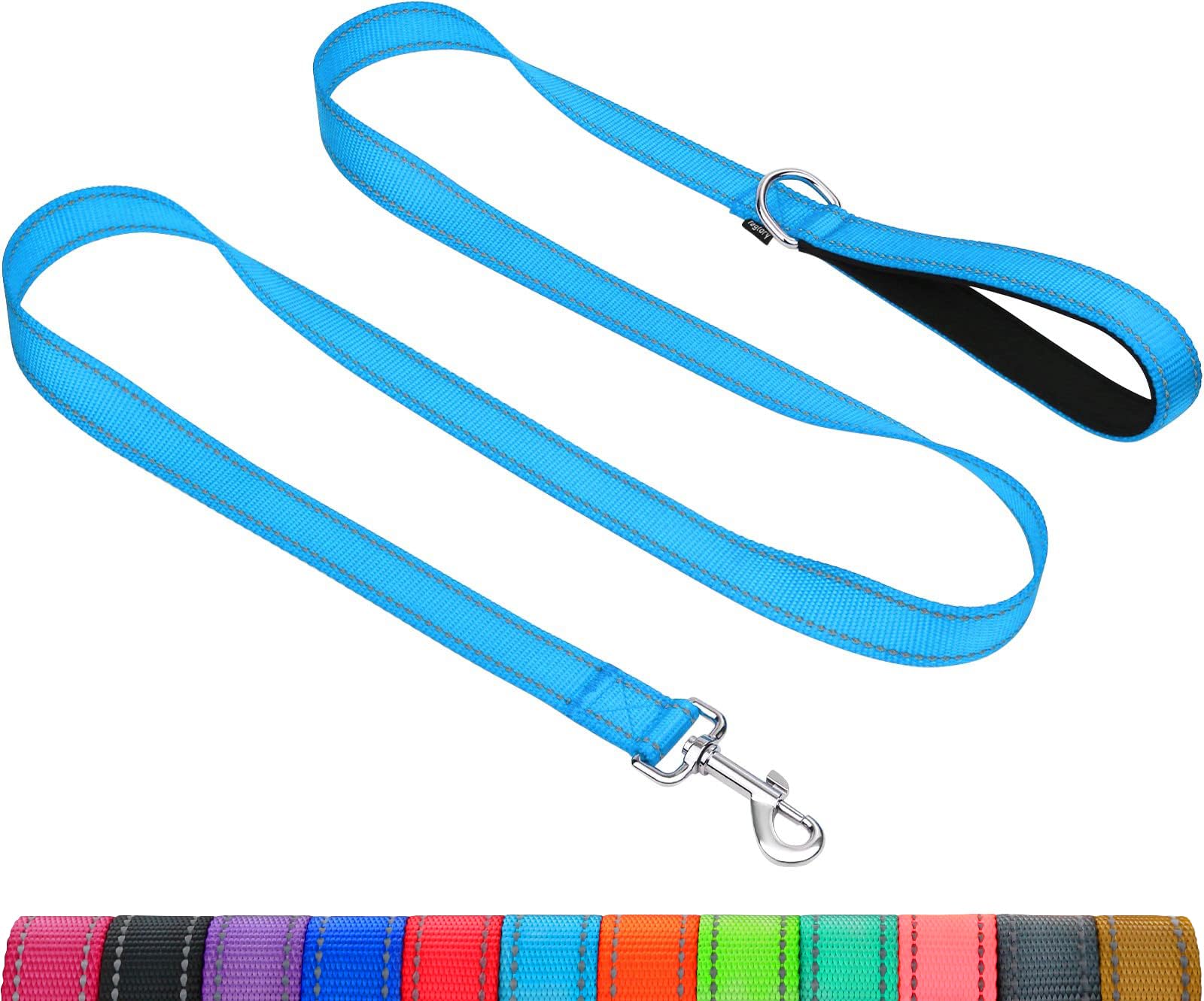Taglory Nylon Dog Leash 6Ft, Soft Padded Handle Pet Reflective Leashes For Medium Large Dogs Walking & Training, Sky Blue
