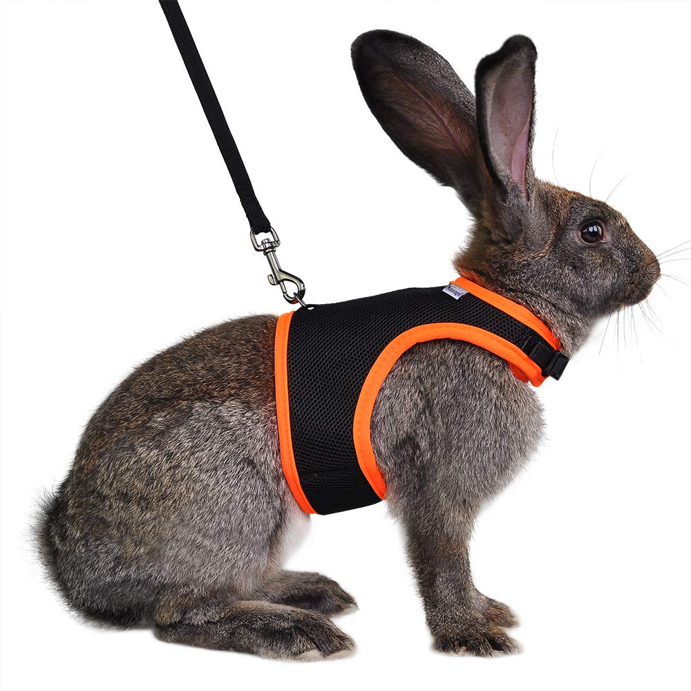 Niteangel Adjustable Soft Harness with Elastic Leash for Rabbits (L, Black)
