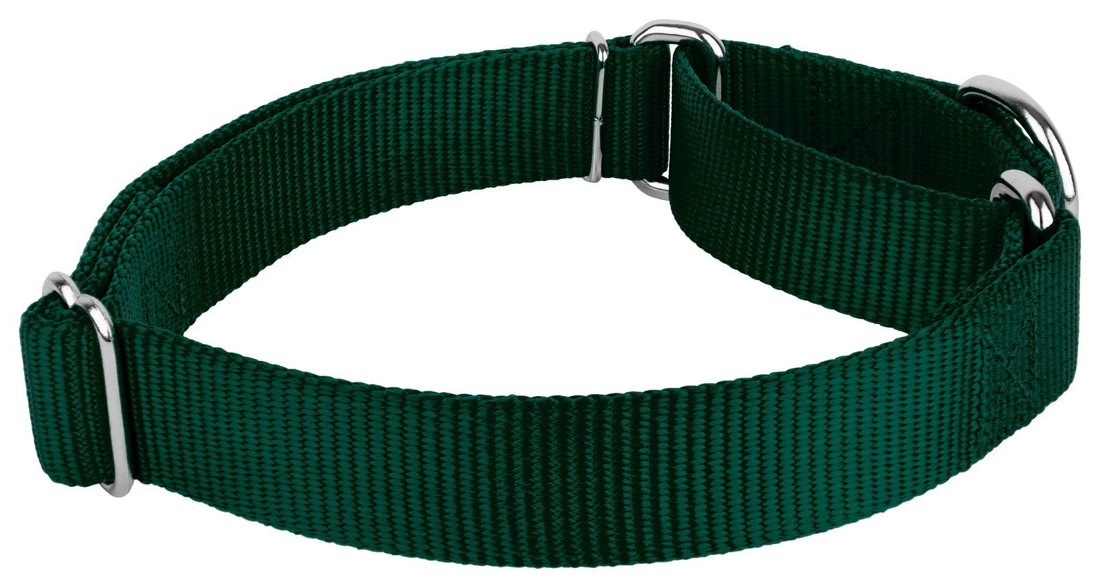Country Brook Petz Martingale Dog Collar - Heavy-Duty Training Collar With No Buckle - Service Dog Collar For All Pups - Vibrant, Colorful Collection (Green, 1 Inch, Large)