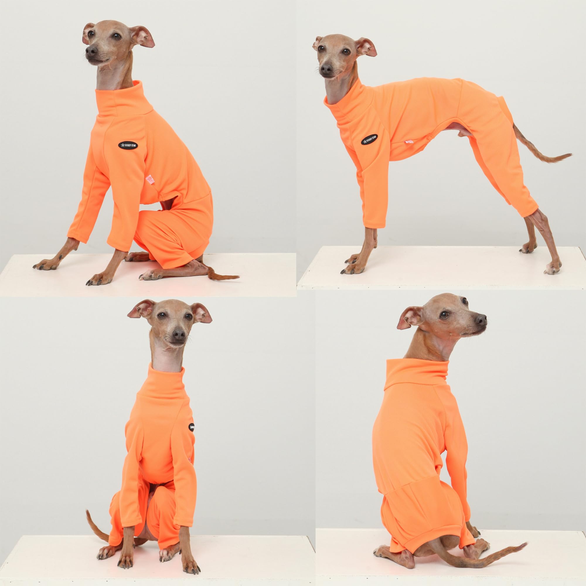 D Doggy Star Italian Greyhound Clothes Strechy Neon Onsie Spring Summer (S,Onsi Ne Orange)