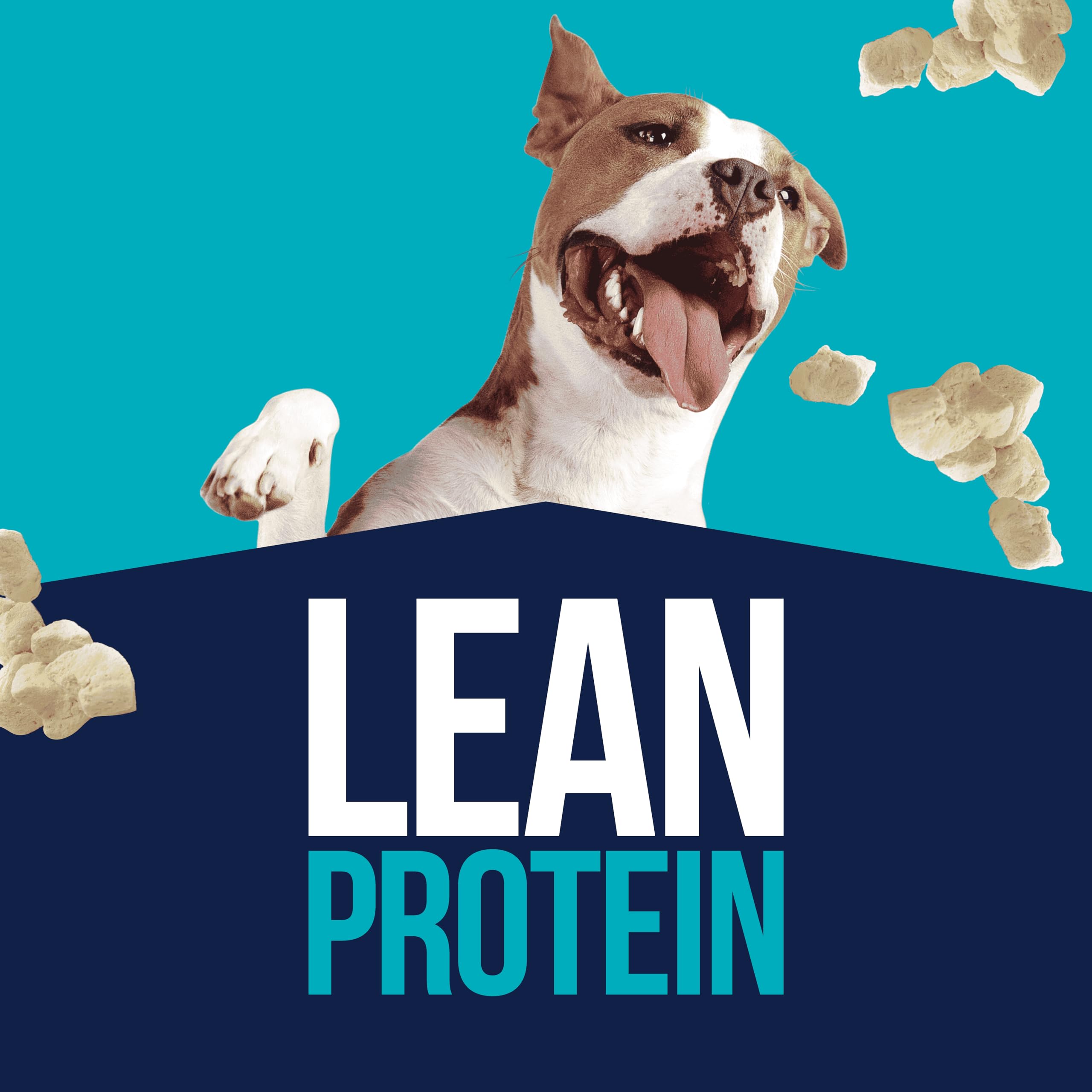 Stewart Chicken Breast Dog Treats, 3 oz, ~55 Pieces, Freeze Dried Raw, Single Ingredient, 74% Protein Training Treats or Meal To