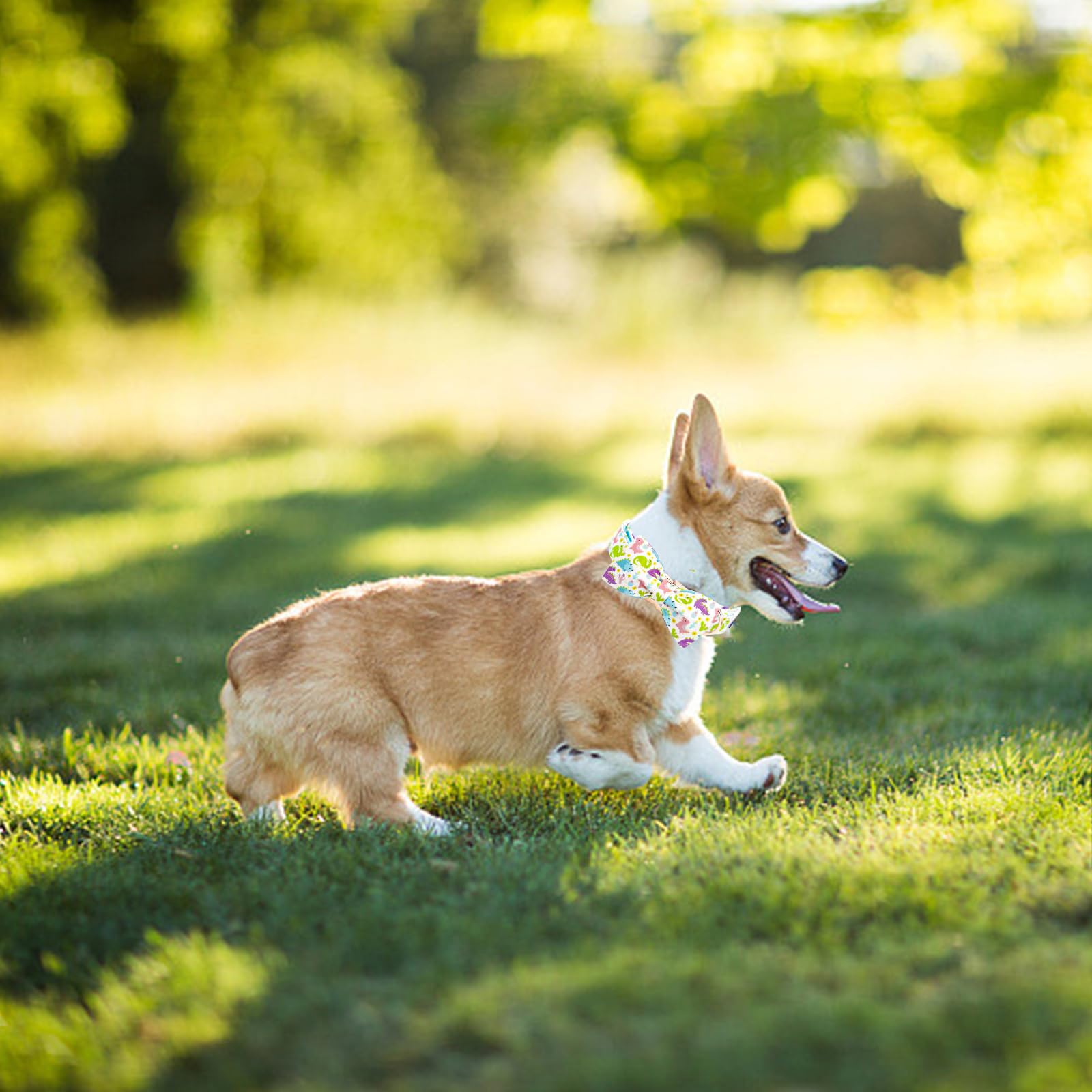 Elegant Little Tail Dog Collar- Cute Dinosaur Dog Collar With Bow For Small Puppy, Male Adjustable Cotton Summer Pet Bow Holiday