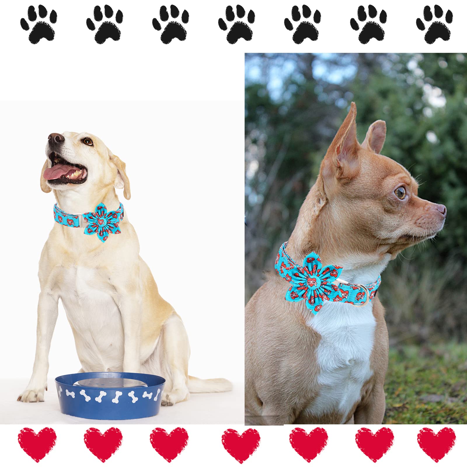 Unique Style Paws Valentine'S Day Dog Collar With Flower Tie Blue Heart Puppy Collar Best Gift For Small Medium Large Boys Girls