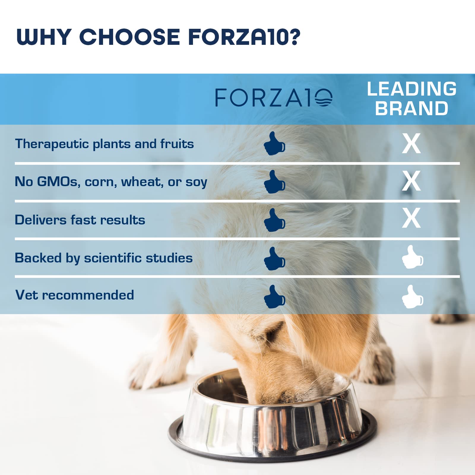 Forza10 Kidney Care Dog Food - Renal Support Wet Dog Food with Lamb, Low Protein & Phosphorus Formula, Sensitive Stomach, 3.5 oz