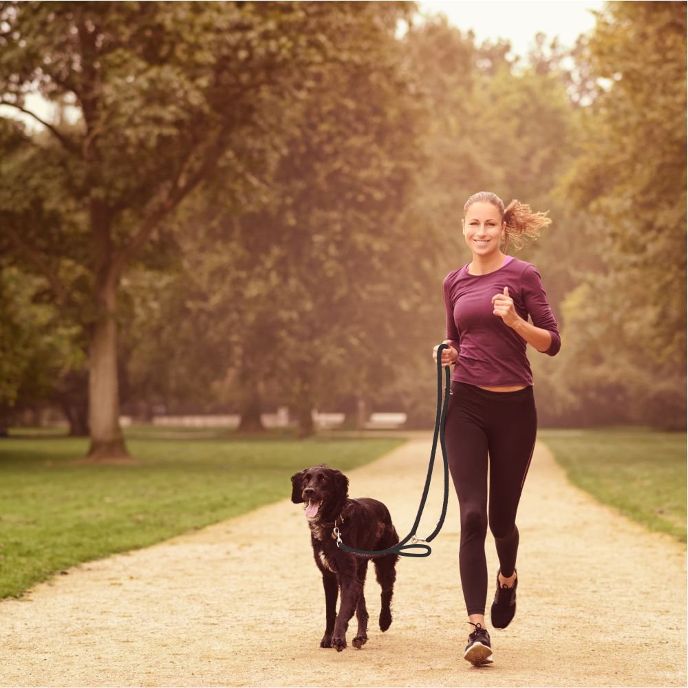 4Guys Total Control, Multi-Function, Hands-Free Dog Leash, Easy Control For Large And Medium Dogs, No Pull Harness Hiking Walkin