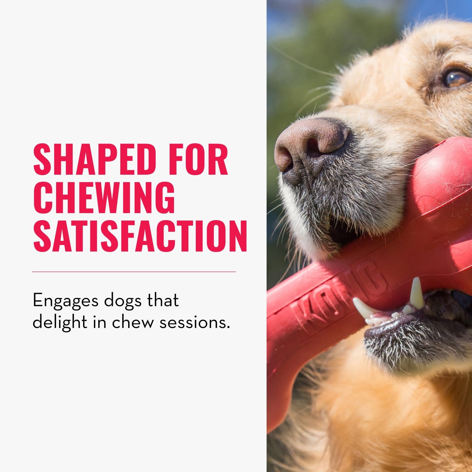 KONG Goodie Bone - Classic Durable Natural Rubber Dog Bone, Supports Mental Engagement - Treat Dispensing - Red - for Medium Dog