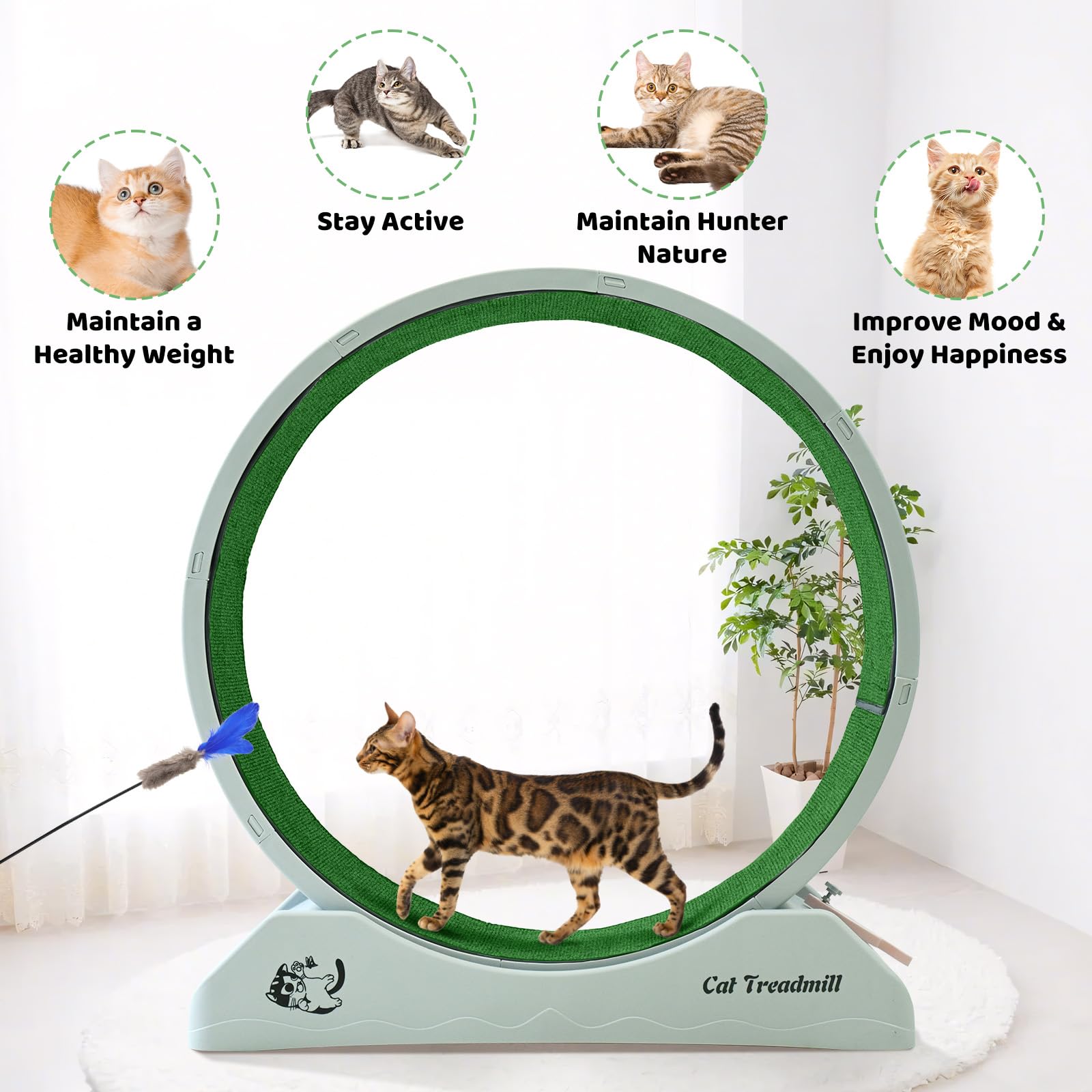 Homegroove Cat Wheels For Indoor Cats, 40 Inch Plastic Cat Exercise Running Wheel With Carpeted Runway, Large Cat Treadmill Whee
