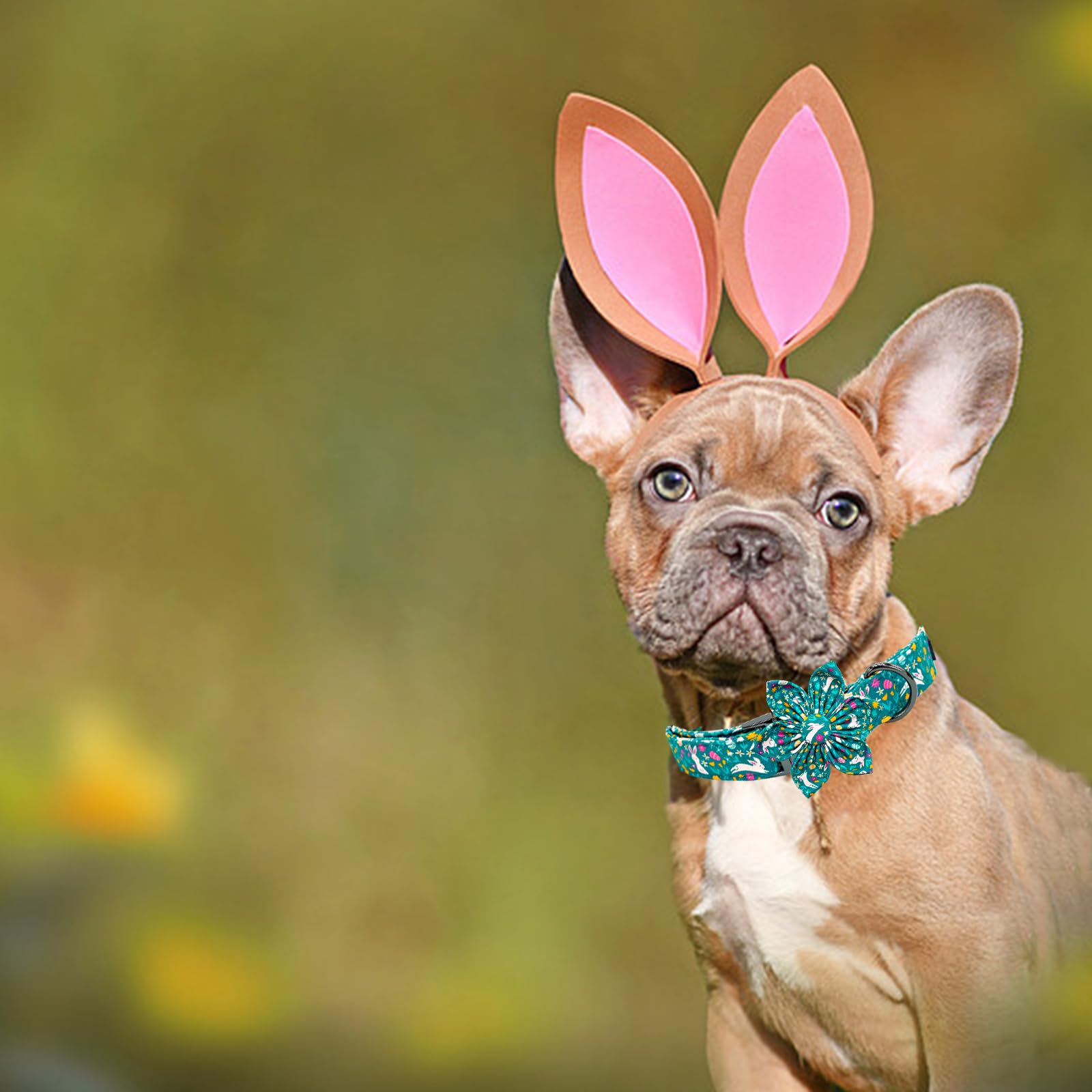 Elegant Little Tail Easter Dog Collar, Bunny Print Puppy Collar With Flower Girl Boy Pet Collars Flower Spring Holiday Dog Colla