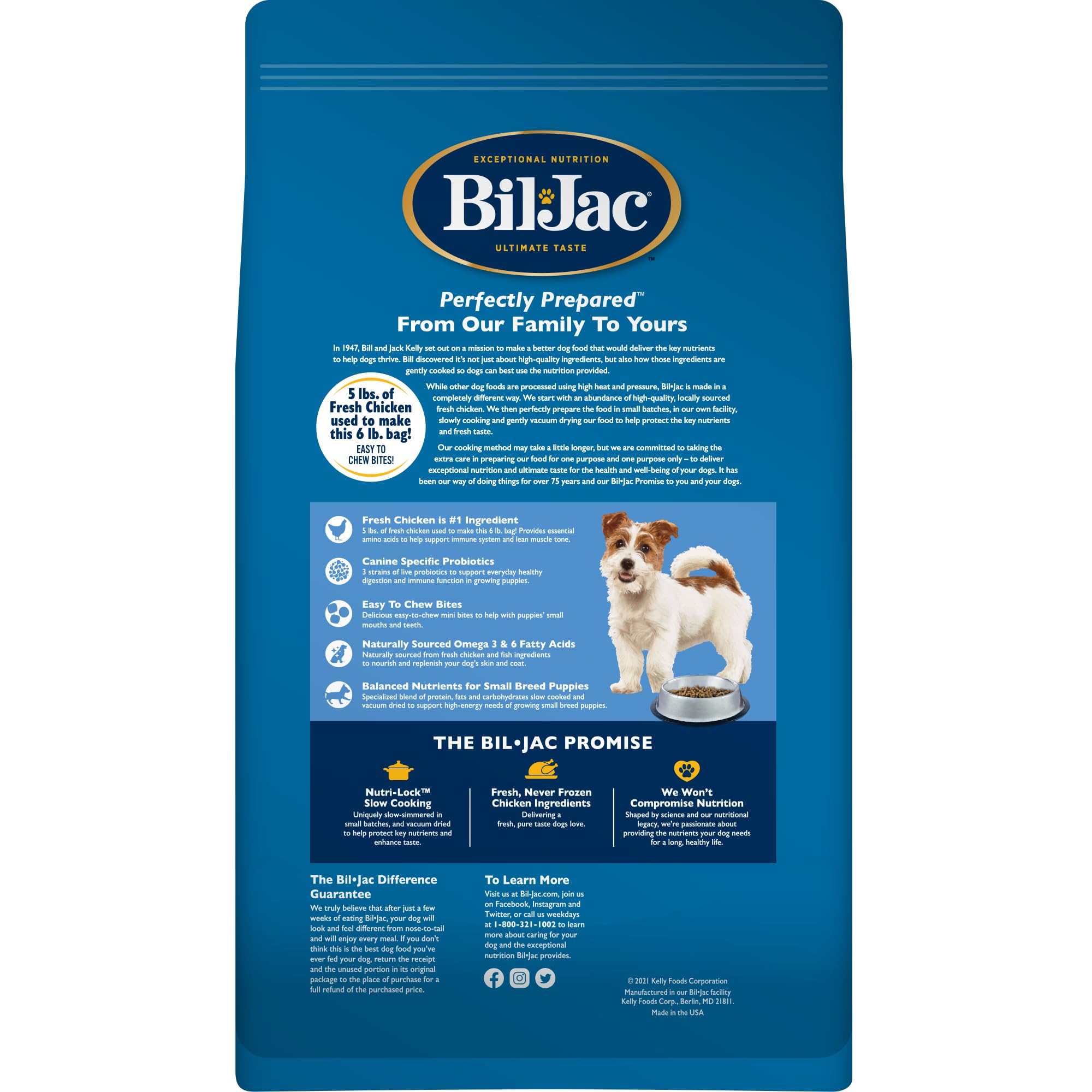 Bil-Jac Puppy Food Small Breed Formula Dry Dog Food 6 lb Bag - Chicken, Oatmeal & Yams - Super Premium Since 1947 (2-Pack)