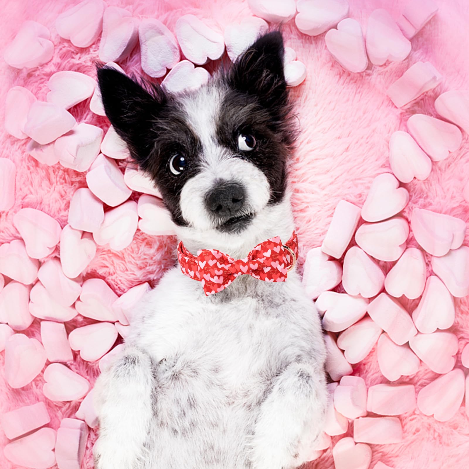 Unique Style Paws Valentine'S Dog Collar With Bow Love Heart Cotton Puppy Collars Wedding For Small Medium Large Dogs