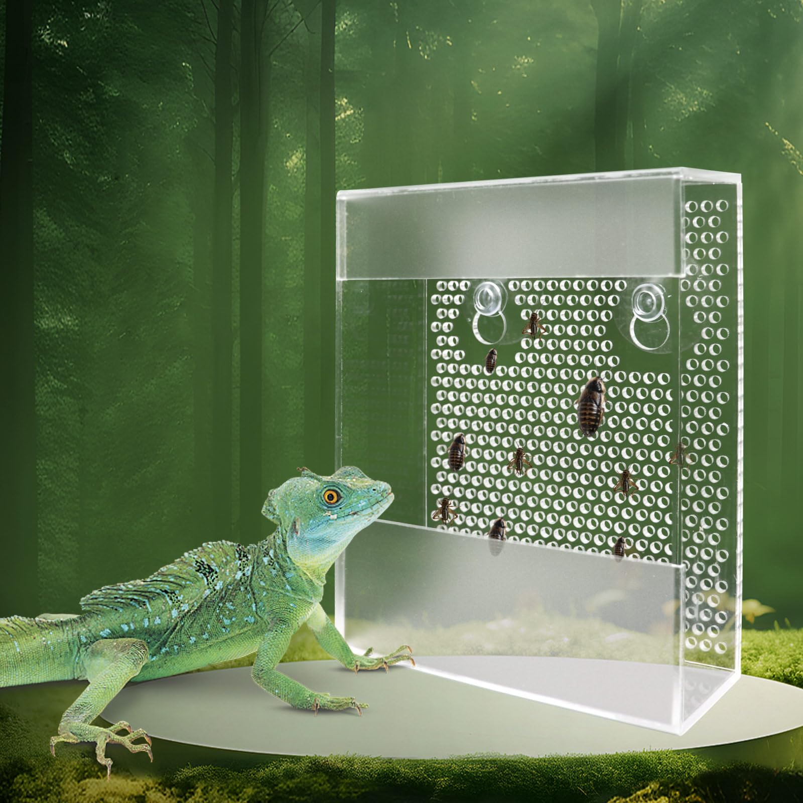 Transparent Acrylic Reptile Feeder Box, Wall-Mounted Insect Feeder With Suction Cups, Tank And Aquarium Accessories For Bearded 