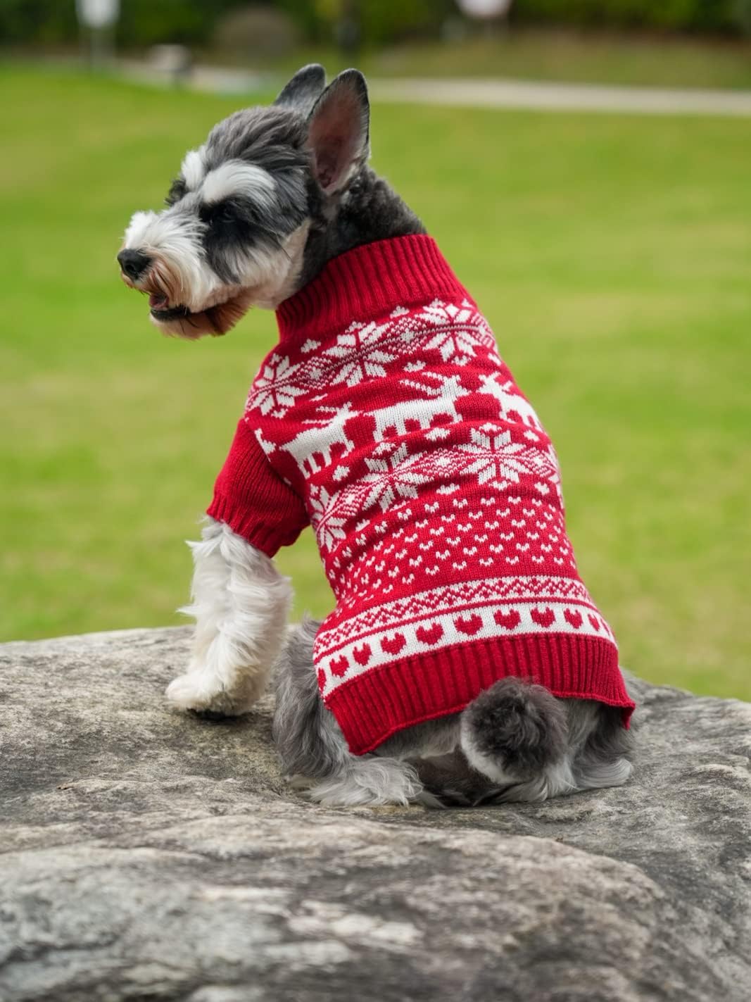 Red Christmas Dog Sweater Reindeer Holiday Festive Dog Christmas Sweater Clothes Outfit For Dogs, Medium M Size 13' Back Length