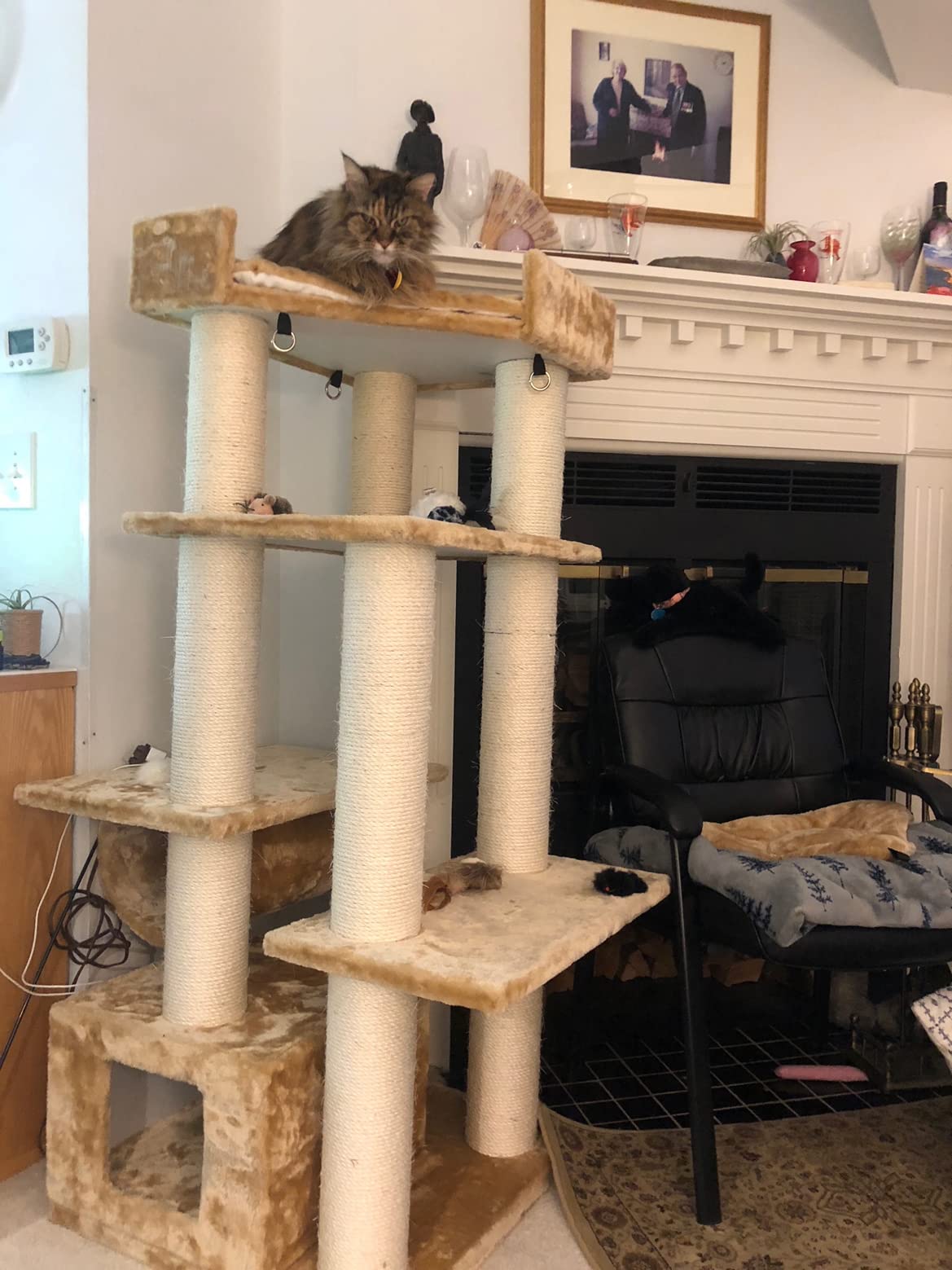 Heavy Duty Deluxe Cat Tree For Large Cats With Hammock, Condo And Big Basket