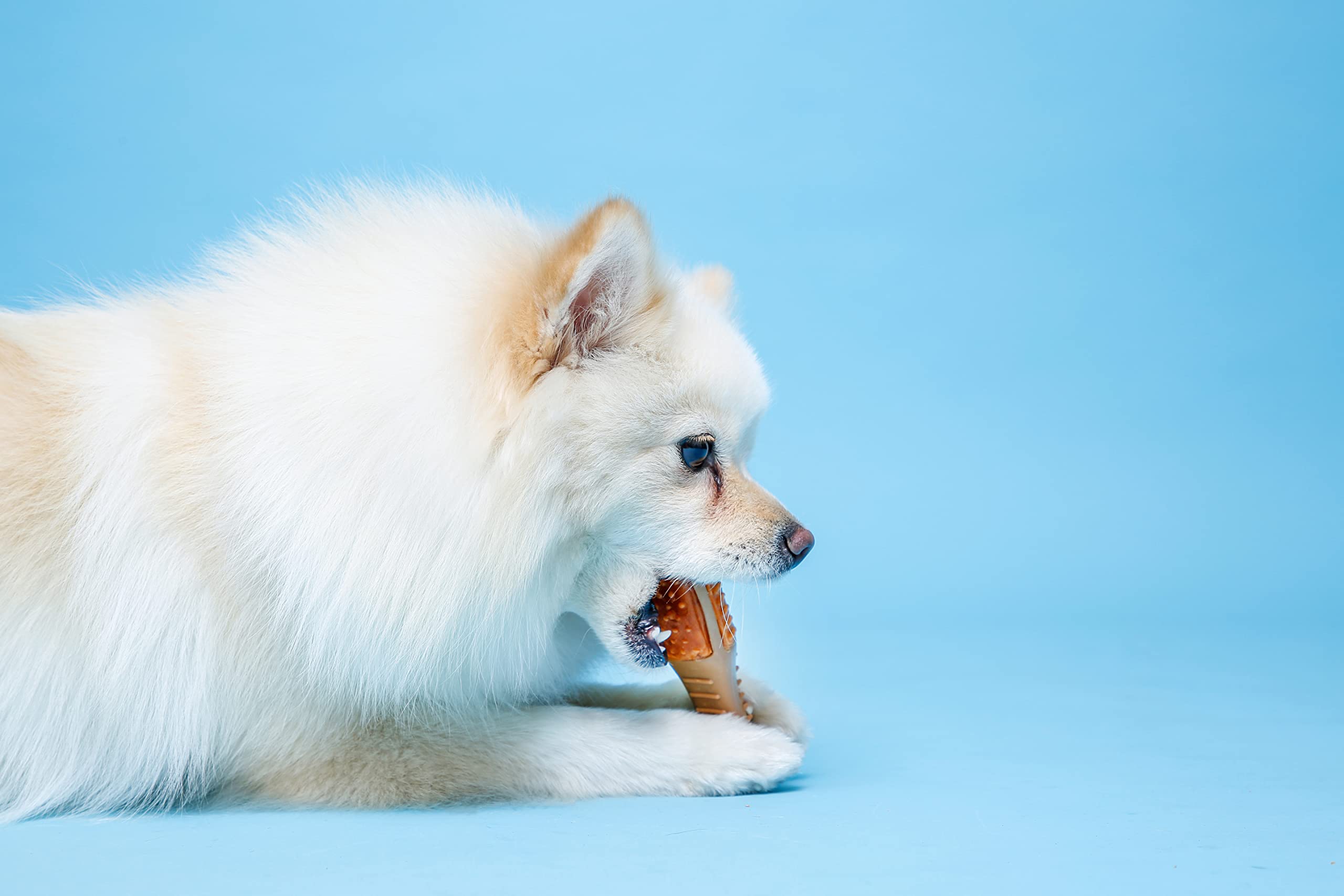 Hartz Chew n Clean Chew Toy and Treat in One Chicken Flavored Drumstick Dog Toy, Small