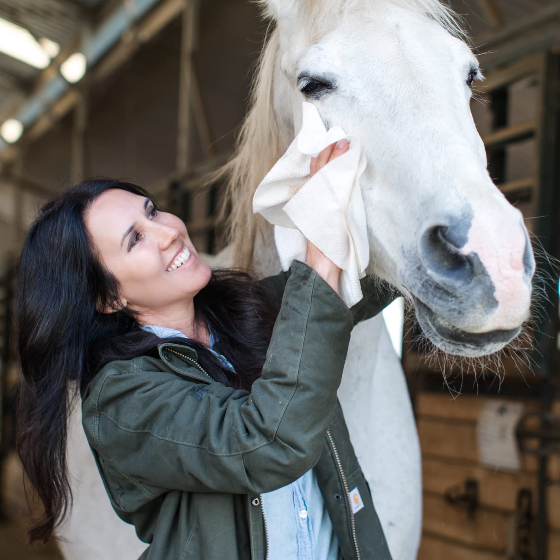 Striphair Bamboo Cloth Wipes Extra Large Reusable 12X12In For Dog Pet Horse Coat Grooming And All Purpose - With Dispenser