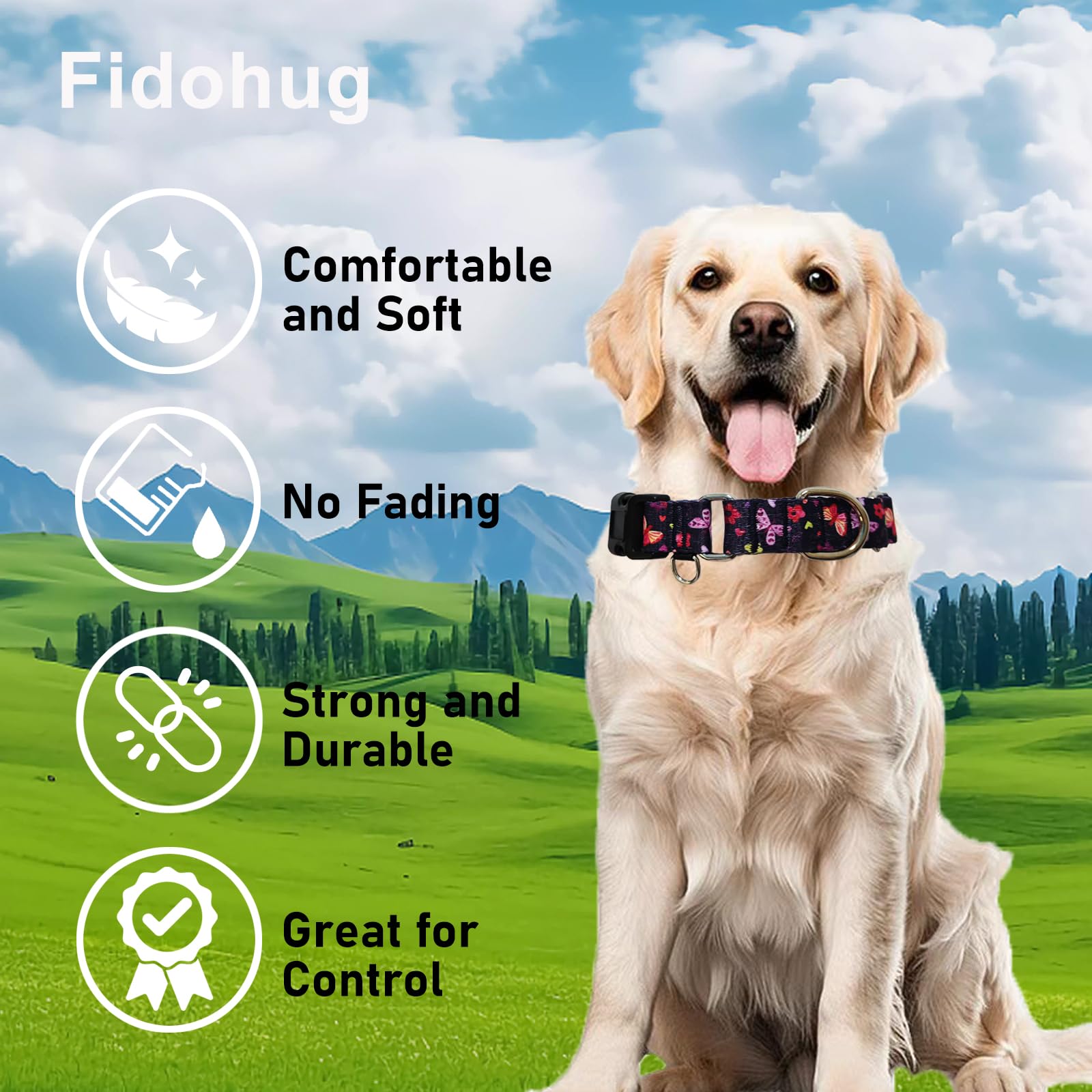 Fidohug Martingale Collar With Buckle Purple Nylon Adjustable Cute Girl Female Dog Collars (Butterfly Floral, Small)