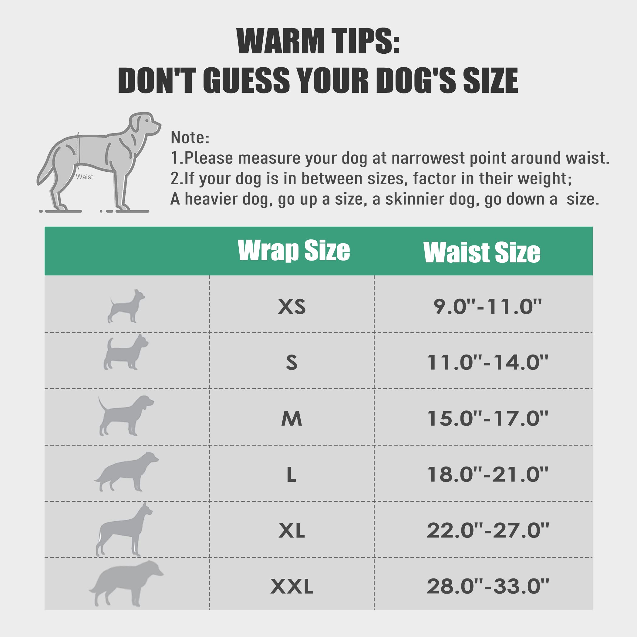 Wegreeco Washable Dog Diapers - Washable Male Dog Belly Wrap - Pack Of 3 (Turtle, X-Large)