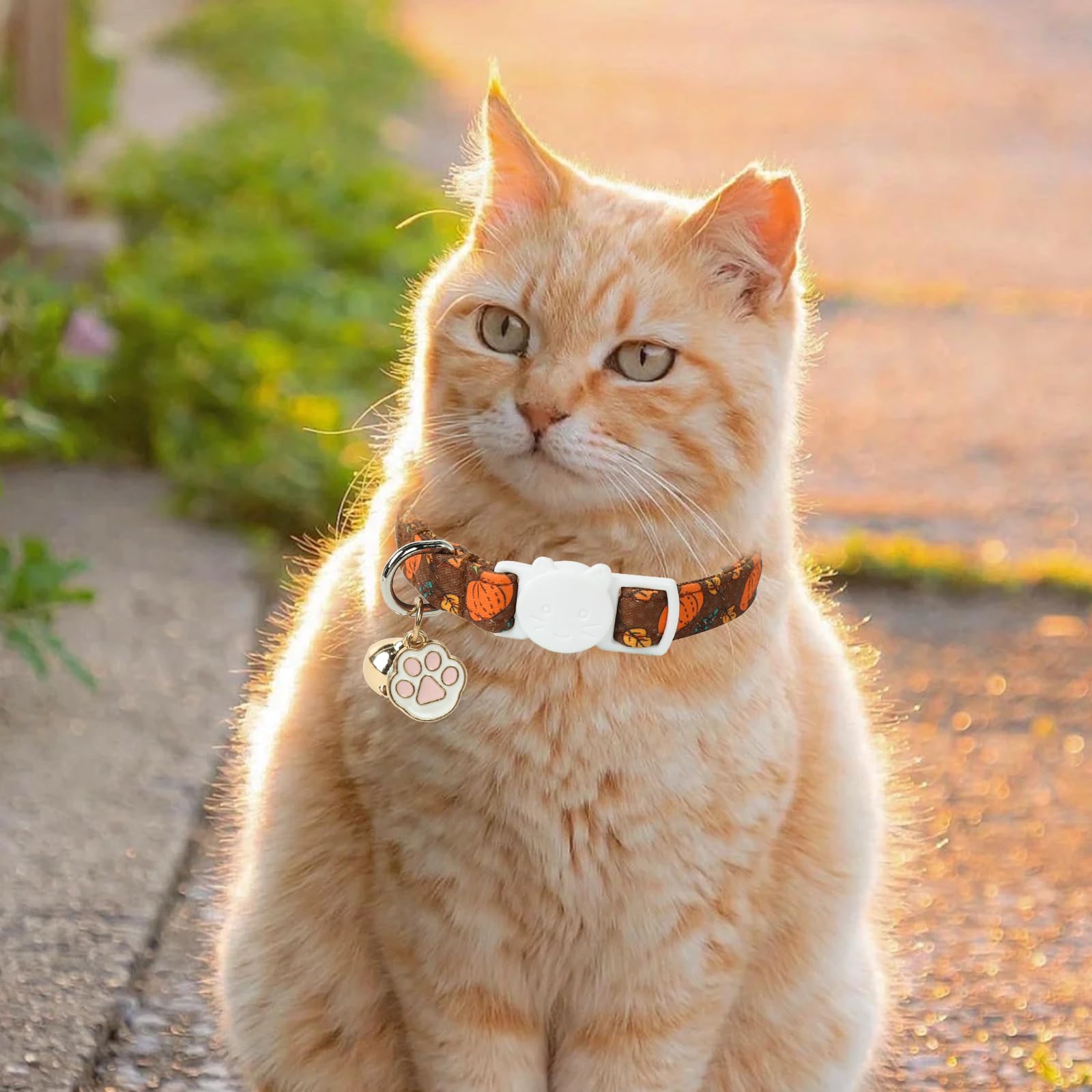 Unique Style Paws Pumpkin Kitten Collar,2 Pack Halloween Cat Collar With Bell & Cute Paw Pendant,Adjustable Orange Pumpkin Kitte