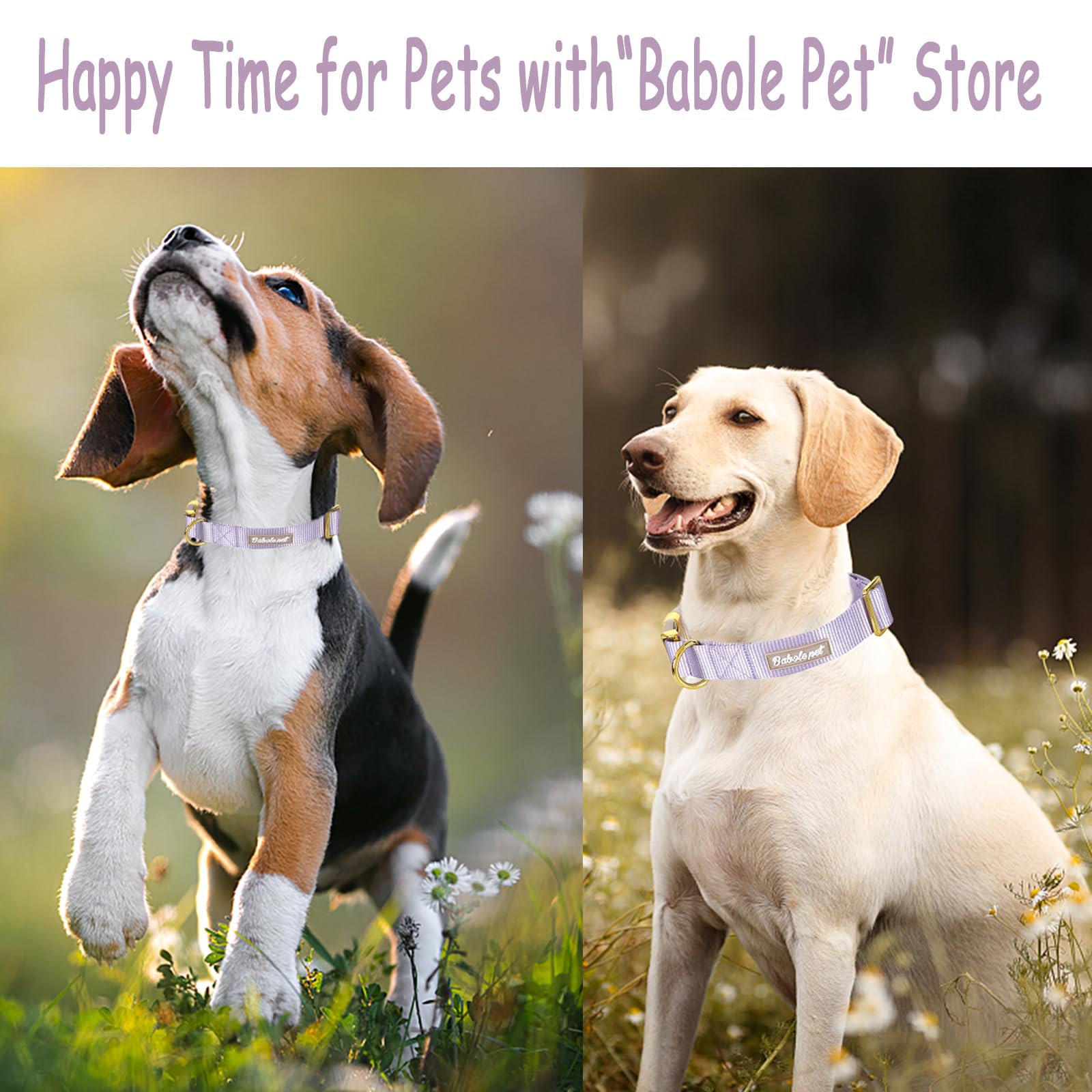 Babole Nylon Dog Collars Lavender For Small Puppy Dog,13 Colors,Adjustable Soft Comfortable Pet Collars With Safety Metal Buckle For Medium Large Boy&Girl&Female Dog(L)