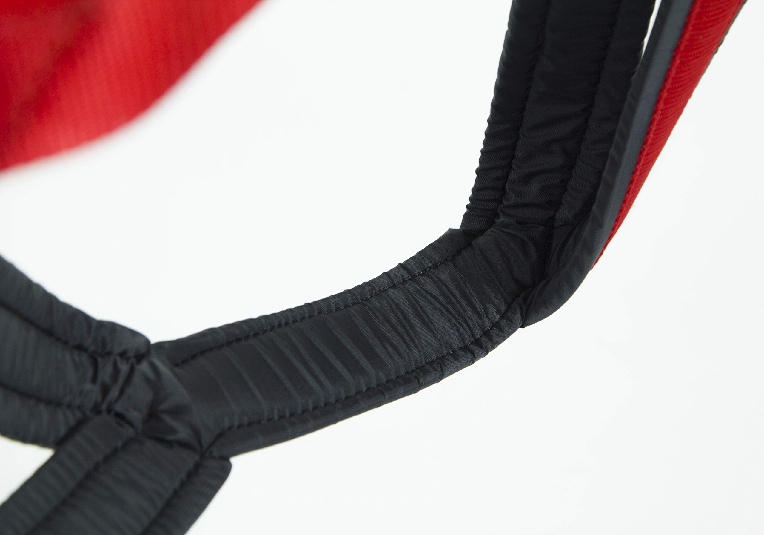 Neewa X-Back Racing Harness - Medium, Blue | High-Performance, Reflective Gear For Slim, Long-Bodied Dogs | Suitable For Canicross, Skijoring | Neck 14In, Chest 28In, Back 23In