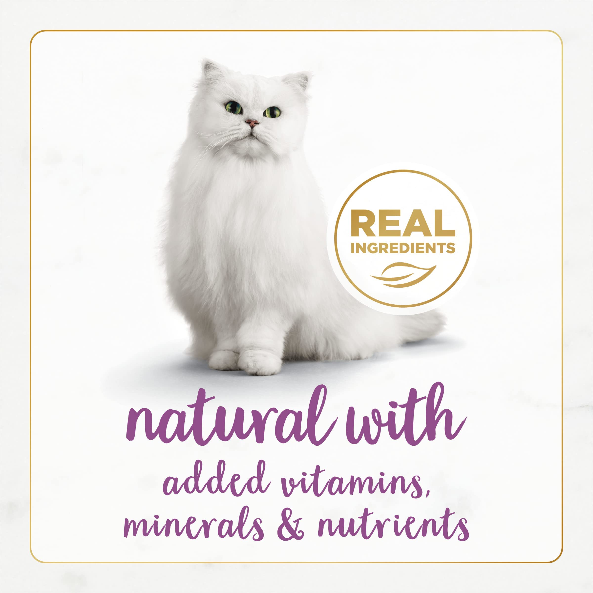 Purina Fancy Feast Pate Wet Cat Food Gourmet Naturals Beef Recipe With Added Vitamins, Minerals and Nutrients - (Pack of 12) 3 o