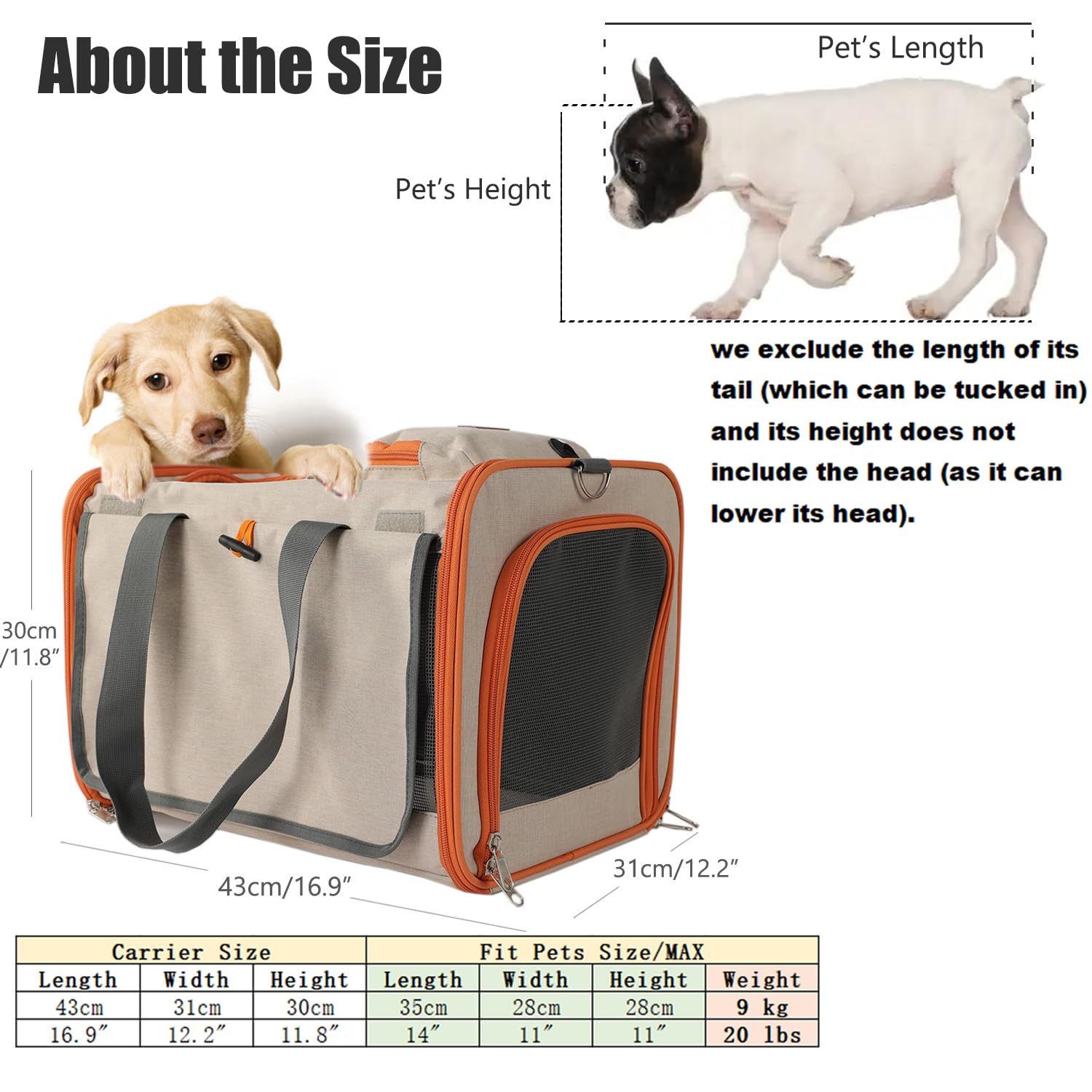 Patazone Small Dogs Carrier For Puppies Cats Carrier Softsided Pets Bags For Big Cat/Puppy,Large Pocket,Breathable,Sunshine Prot