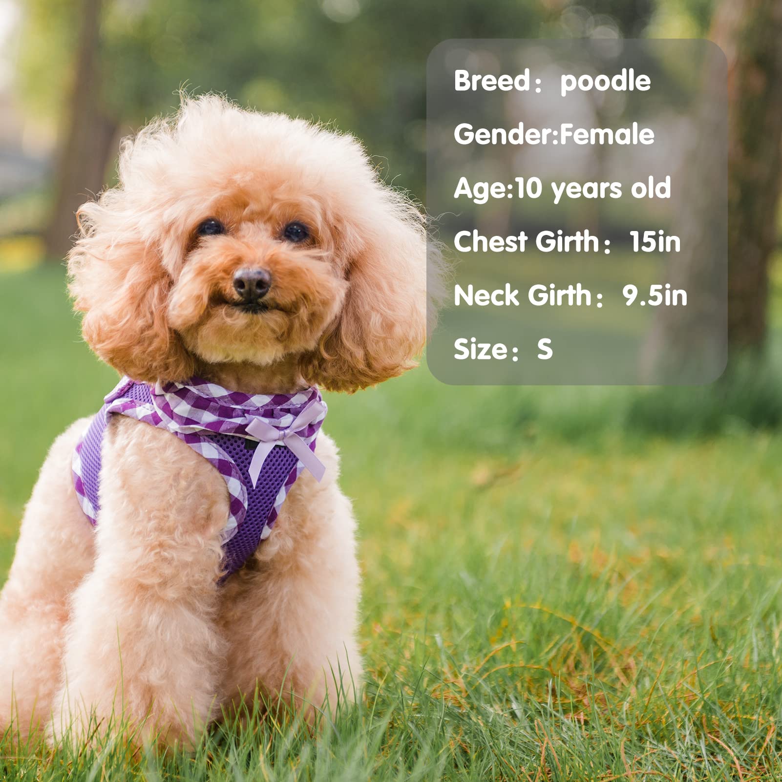 Pupteck Small Dog Harness No Pull Step-In Puppy Cat Harness Soft Mesh For Girls, Purple Xxs