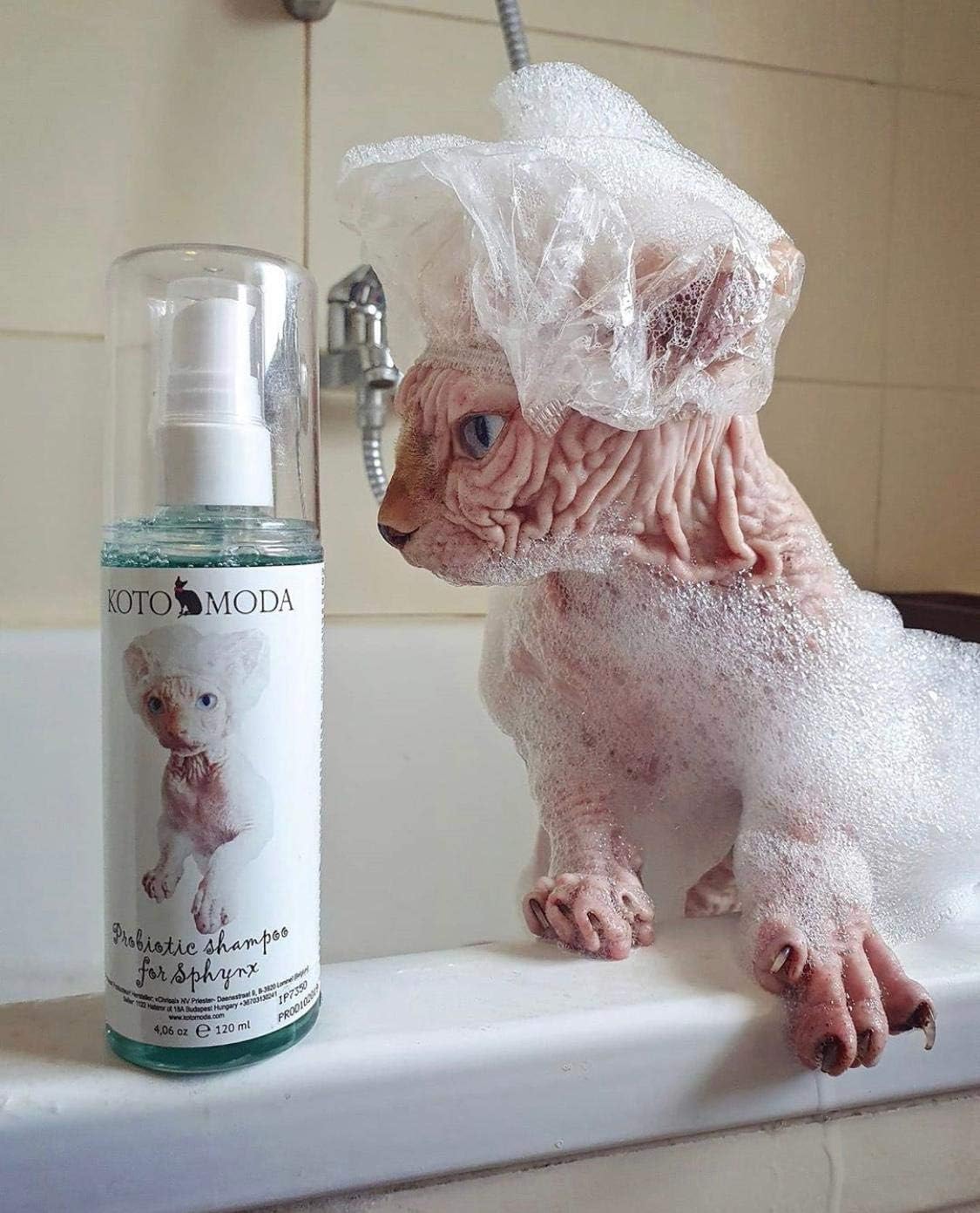 Kotomoda Probiotic Shampoo For Sphynx Cats 50 Ml