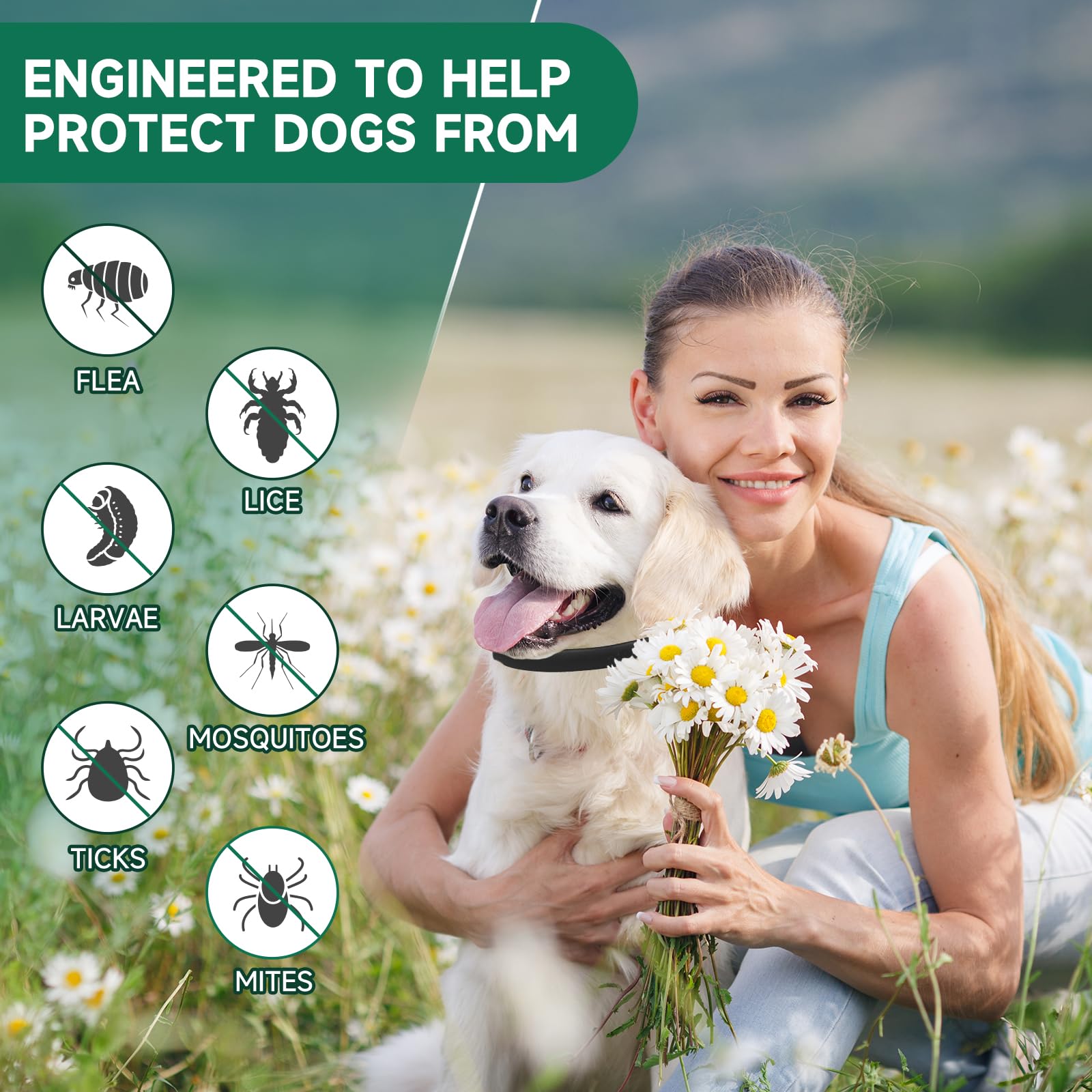 4 Pack Flea Collar for Dogs, Dog Flea and Tick Treatment, 8 Months Protection Flea and Tick Collar for Dogs, Waterproof Dog Flea