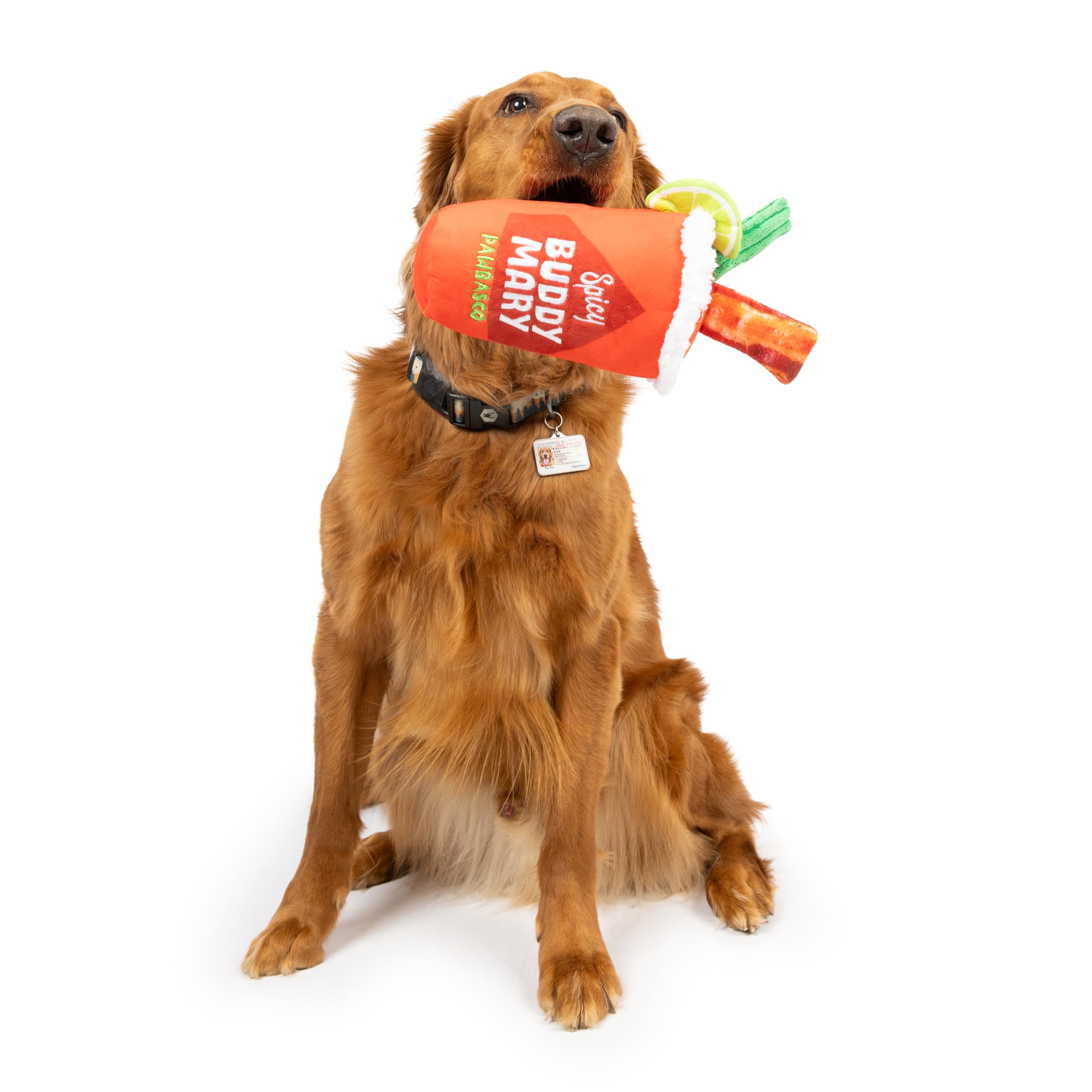 Huxley & Kent For Dogs - Buddy Mary (Large) - Yappy Hour Power Plush With Squeaker - Funny Dog Toy - H&K Squeaky Toy