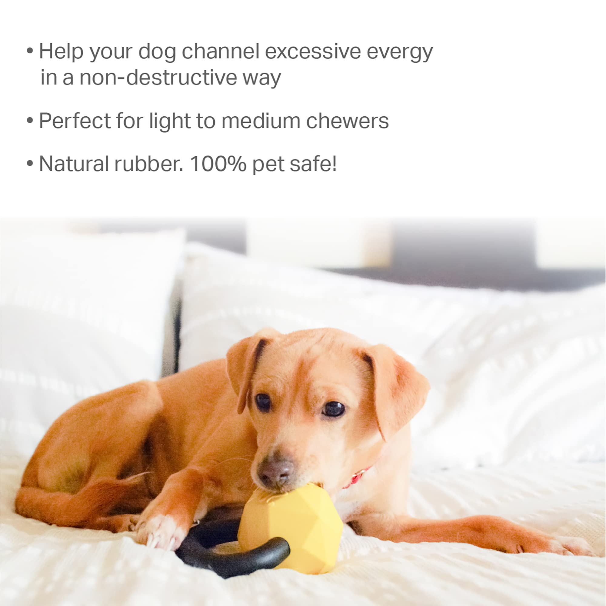 Friends Forever Dog Chew Toy, Interactive Treat Dispensing Toys, Dog Puzzle Fun Indoor Play, Non-Toxic Durable Natural Rubber, Y