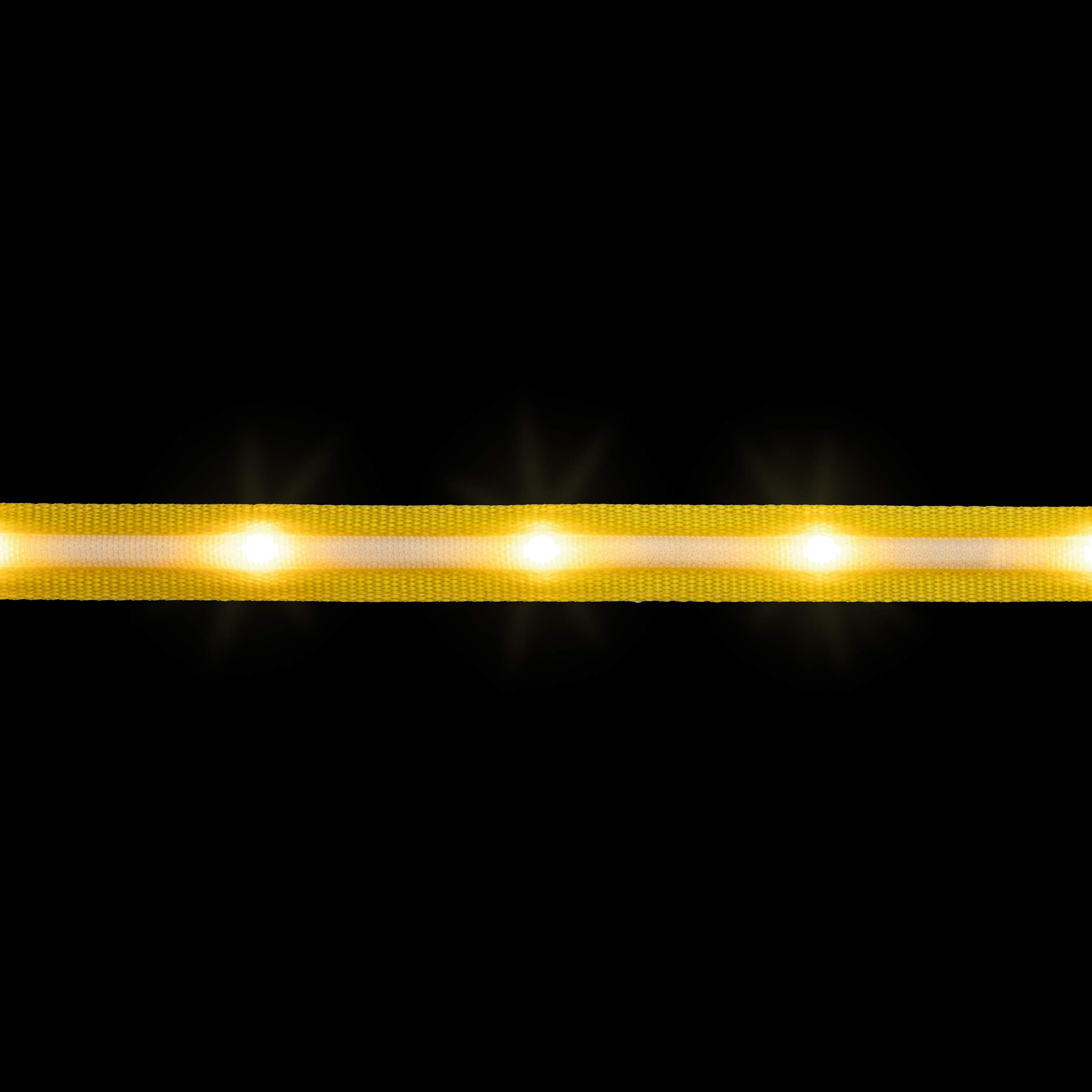 Blazin Light Up Led Dog Leash - 1,000 Feet Visibility - Usb Rechargeable, Waterproof, Glow In Dark - 4 Foot, Yellow