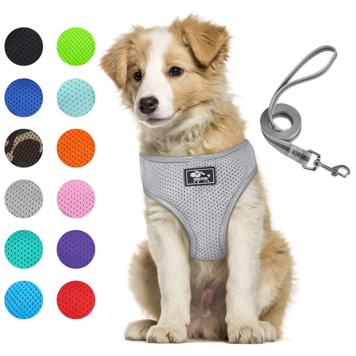Puppy Harness And Leash Set - Vest For Small And Medium Dogs - Adjustable Reflective Step-In Harness For Dogs, Cats - Soft Mesh 