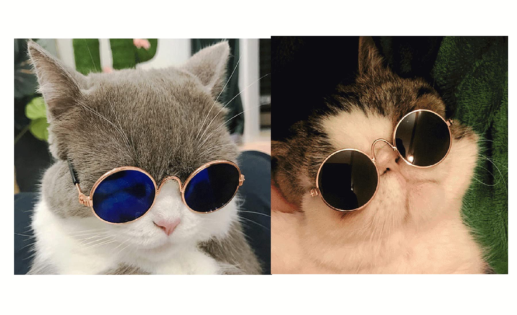 2Pcs Random Color Small Cat Kitten Glasses Pet Glasses Dog Sunglasses Pet Supplies Kittens Pet Sunglasses 3 Cm/1.1 Inch Cosplay Costume Photos Props