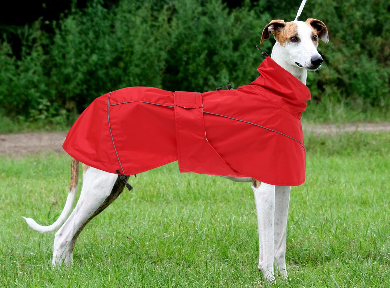 Greyhound Lurcher Raincoat, Whippet Rain Gear With Reflective Bar, Rain/Waterproof, Adjustable Bands And Drawstring In Autumn And Winter - Red - Xlarge