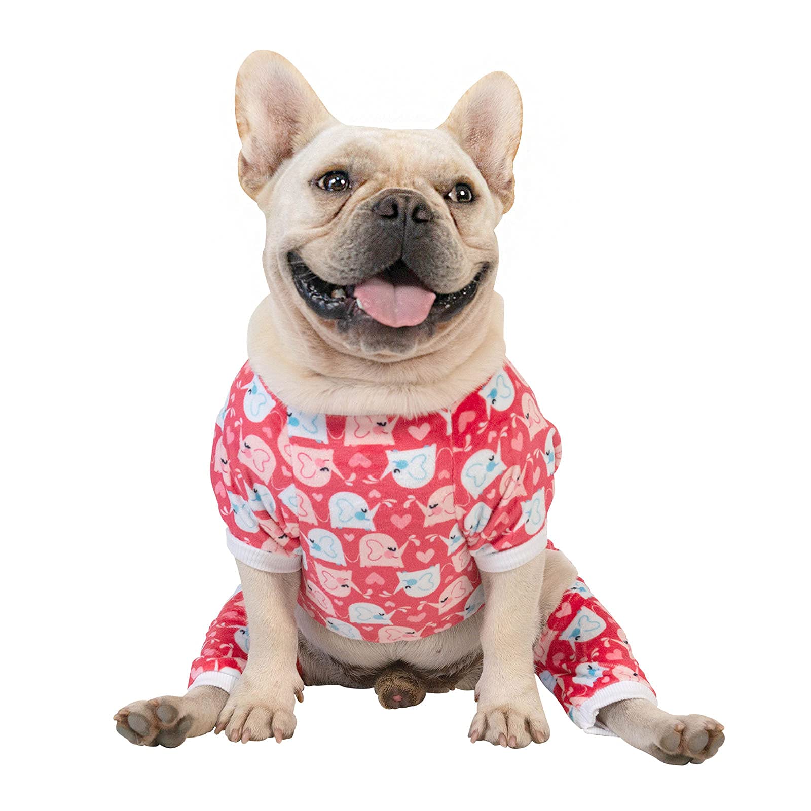 Cutebone Dog Pajamas Cute Cat Clothes Pet Pjs Soft Onesie For Small Dogs P145L