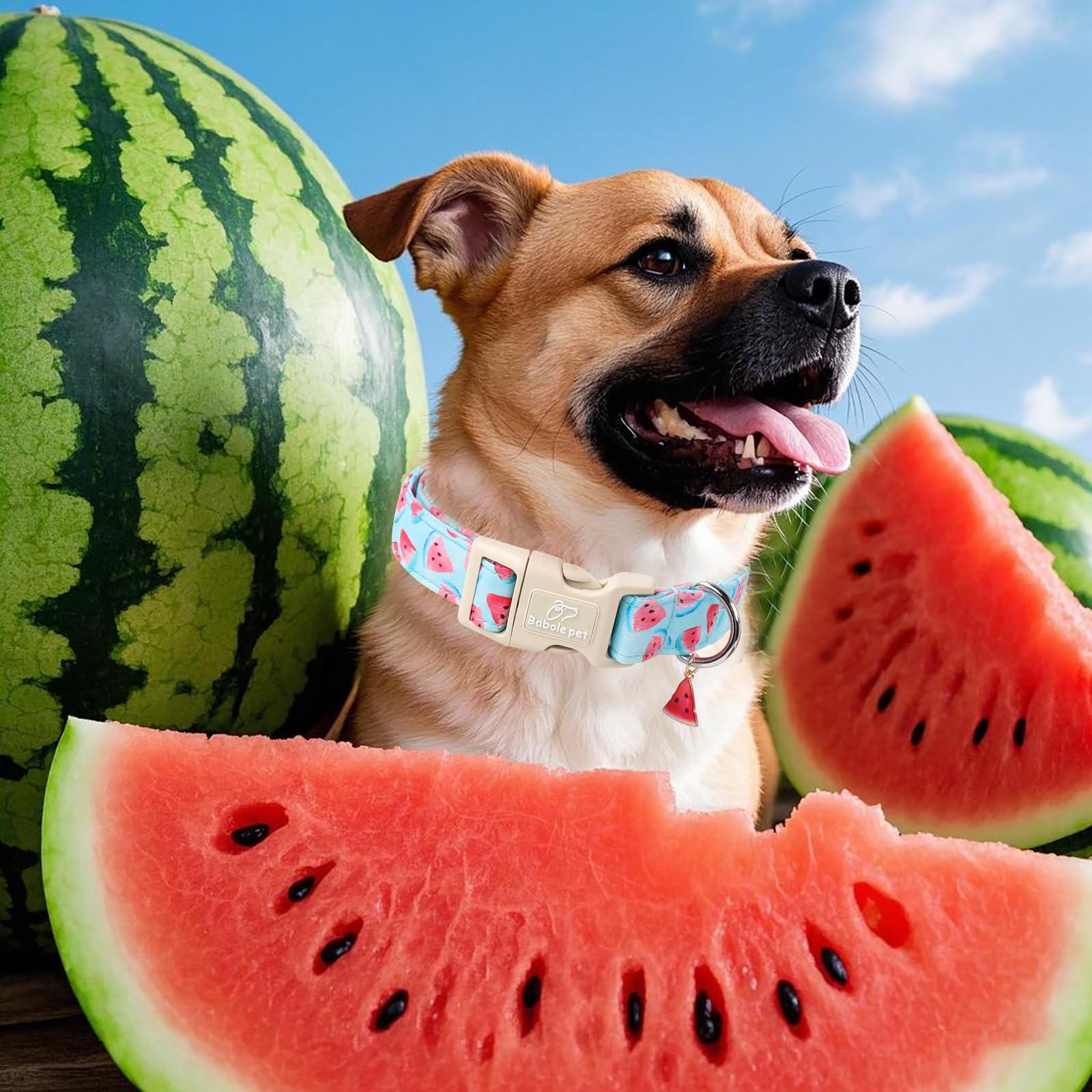 Babole Pet Adjustable Summer Dog Collar, Cute Watermelon Dog Collars For Giant Large Dogs, Lightweight Quick-Release Buckle Coll