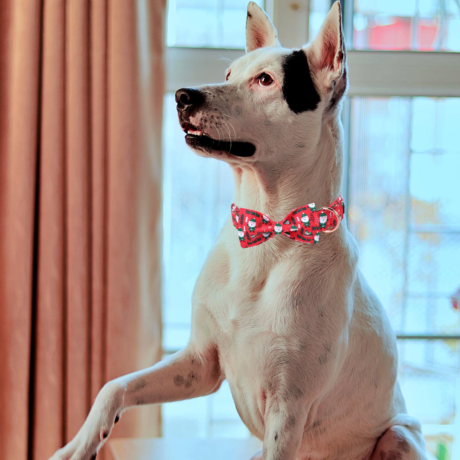 Mr. Chubbyface Santa Claus Dog Collar With Bowtie, Cotton Boy Girl Dog Collars With Metal Buckle Cute Christmas Collars For Pupp
