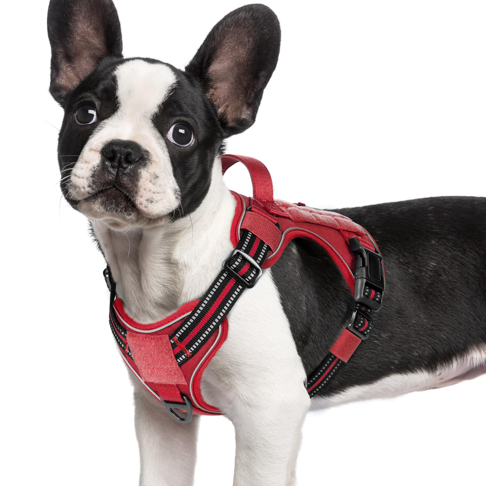 Rabbitgoo Dog Harness Small Sized No Pull, Tactical Service Pet Vest With Molle And Control Handle, Adjustable And Reflective Mi