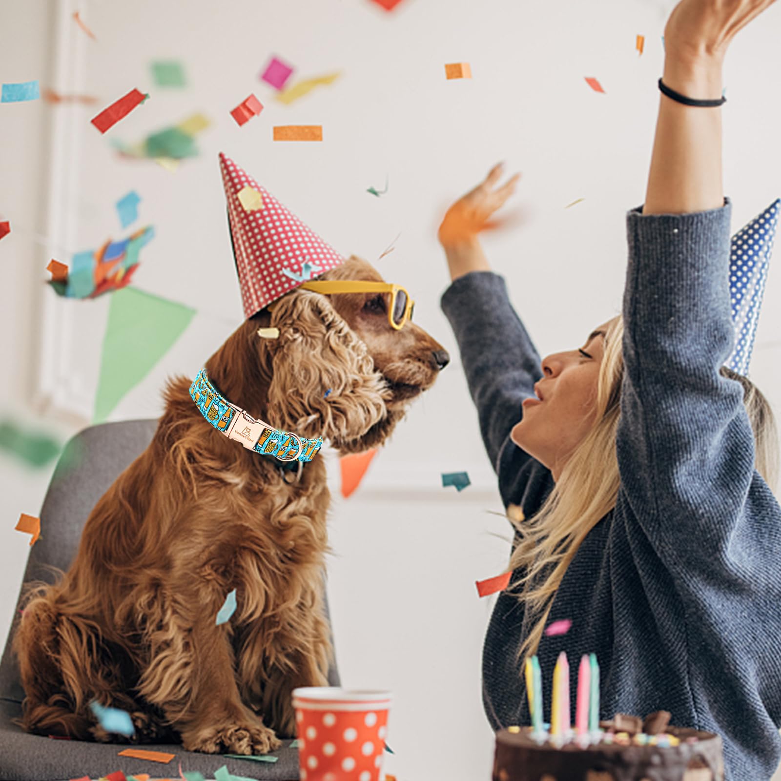 Lionheart Glory Blue Summer Party Collar - Soft, Durable, Adjustable For Medium Dogs