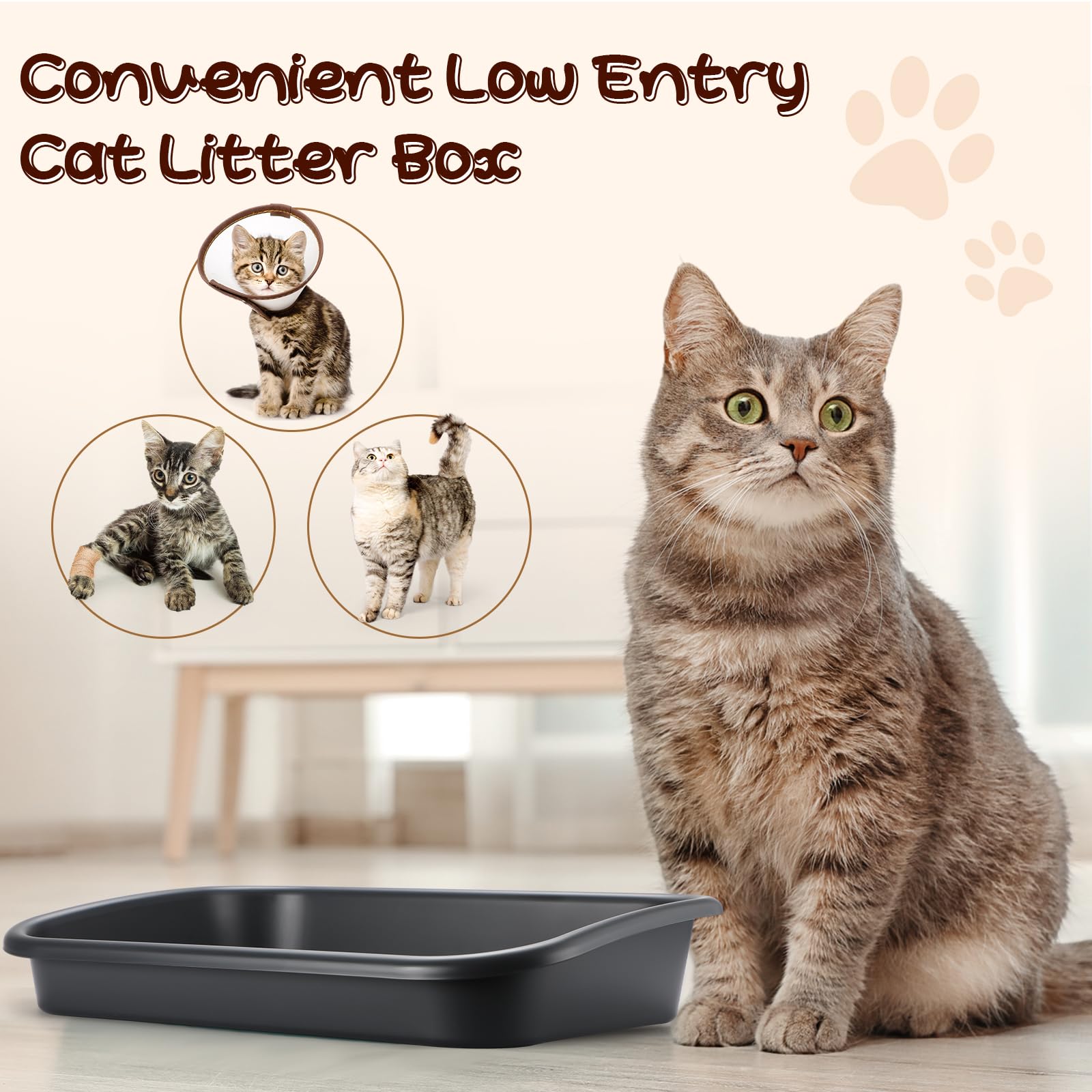 Uiifan 3 Pcs Low Entry Senior Cat Litter Box Large Size Pet Low Entry Open Top Litter Box For Senior Kitten Frail Handicap Disabled Older Elderly Cats, Easy To Clean(Dark Gray)